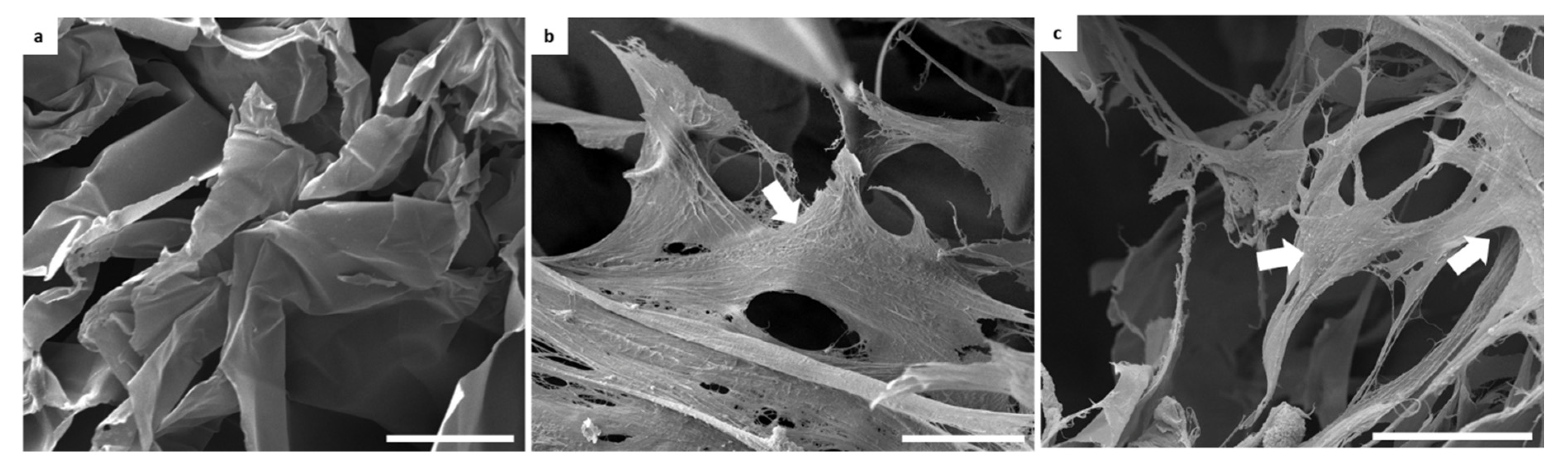 Nanomaterials 10 01219 g009 Nanomaterials 10 01219 g009