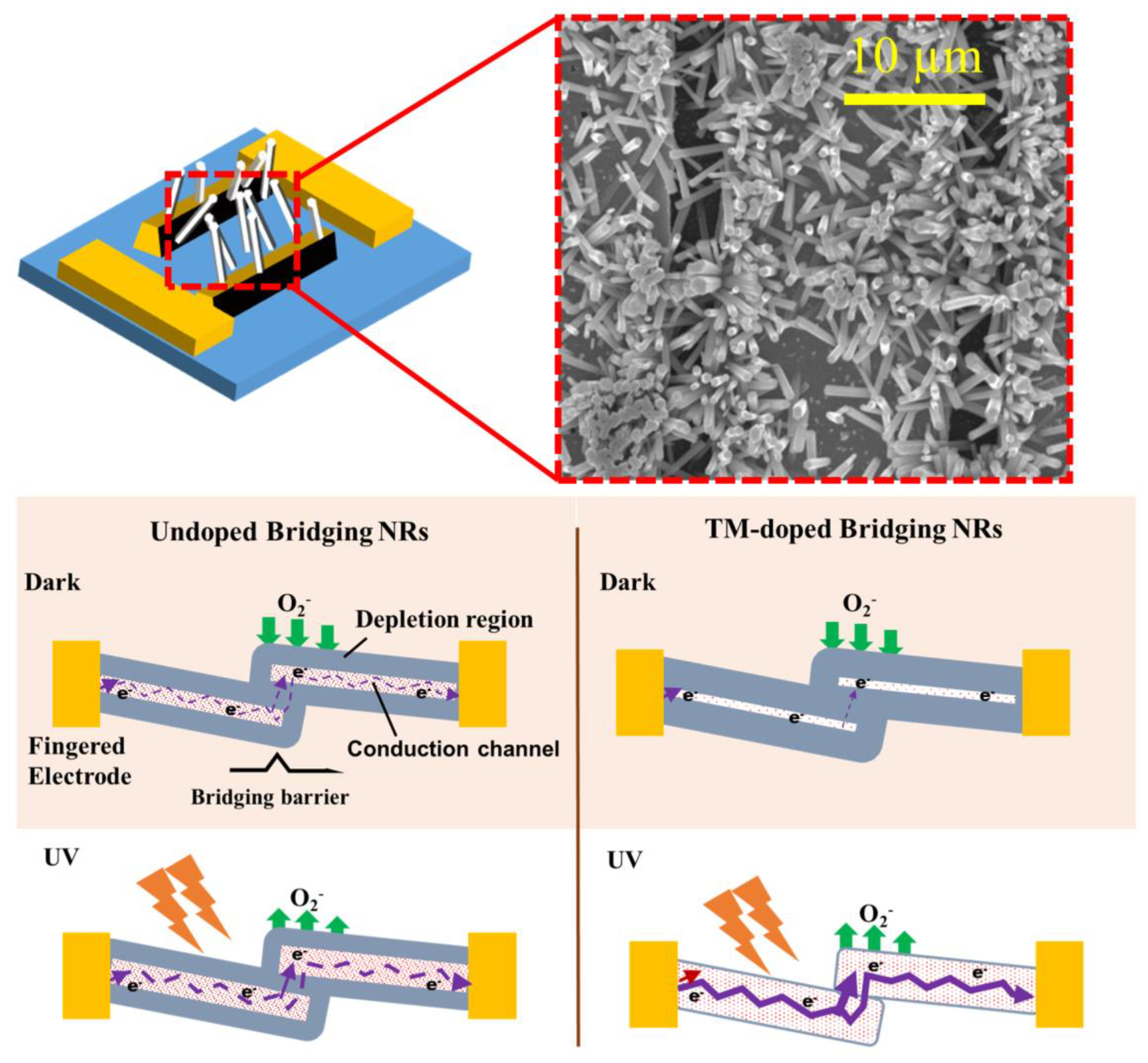 Nanomaterials 10 01225 g006