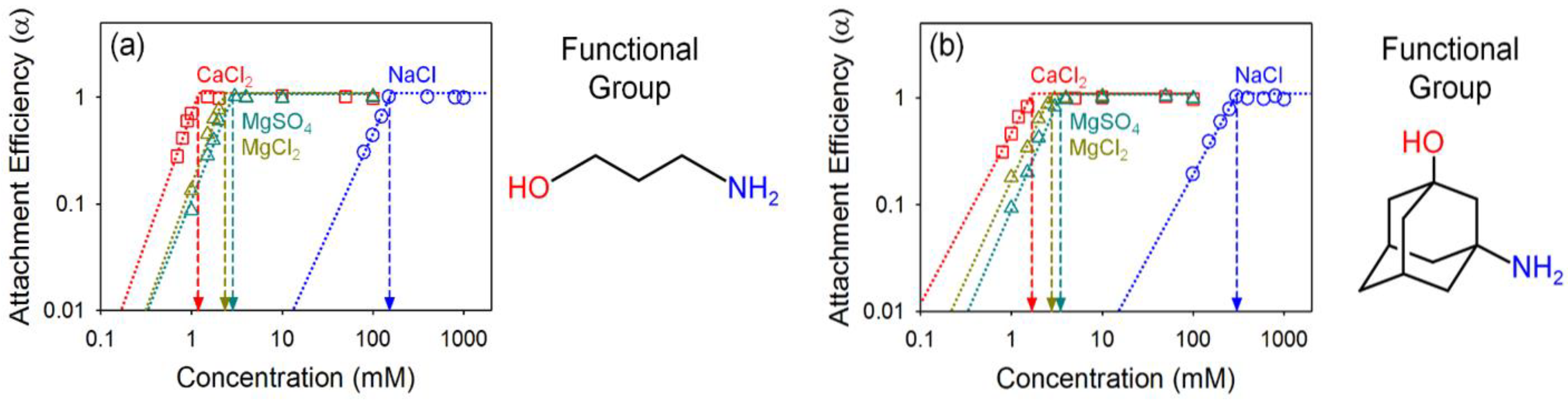 Nanomaterials 10 01228 g006