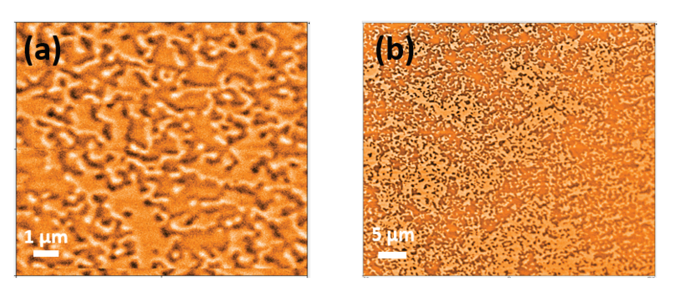 Nanomaterials 10 01231 g004 Nanomaterials 10 01231 g004