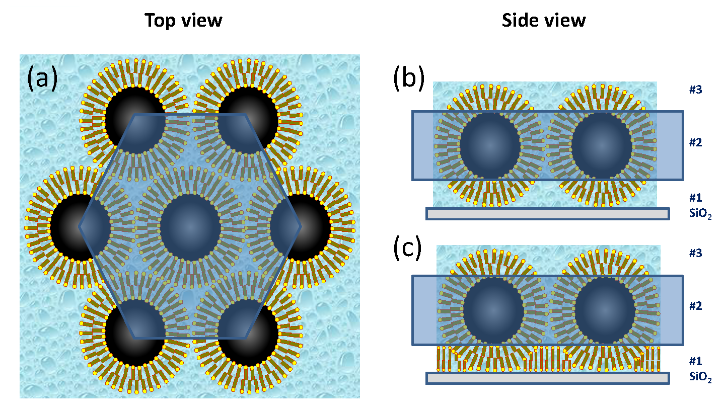 Nanomaterials 10 01231 g006 Nanomaterials 10 01231 g006