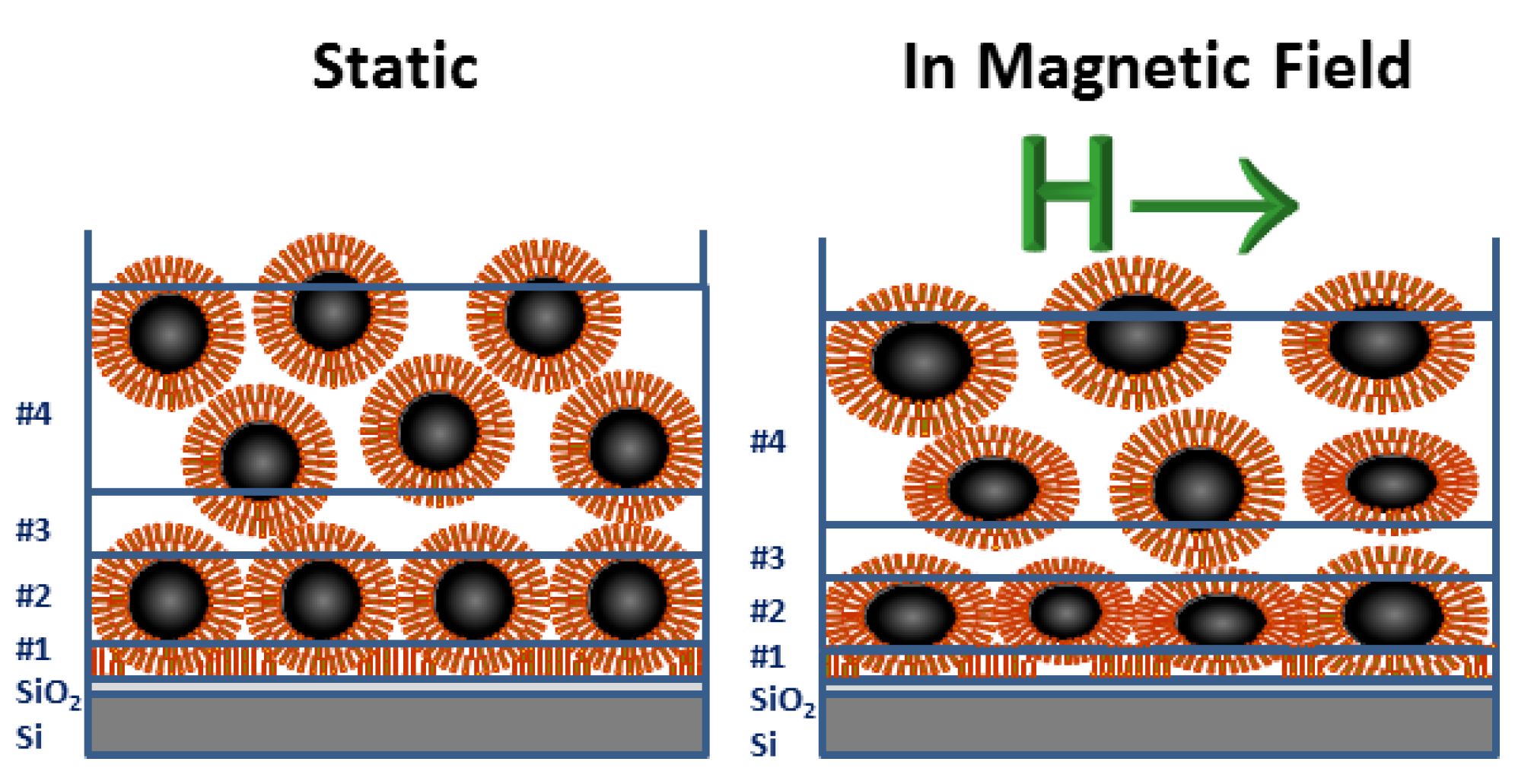 Nanomaterials 10 01231 g007 Nanomaterials 10 01231 g007