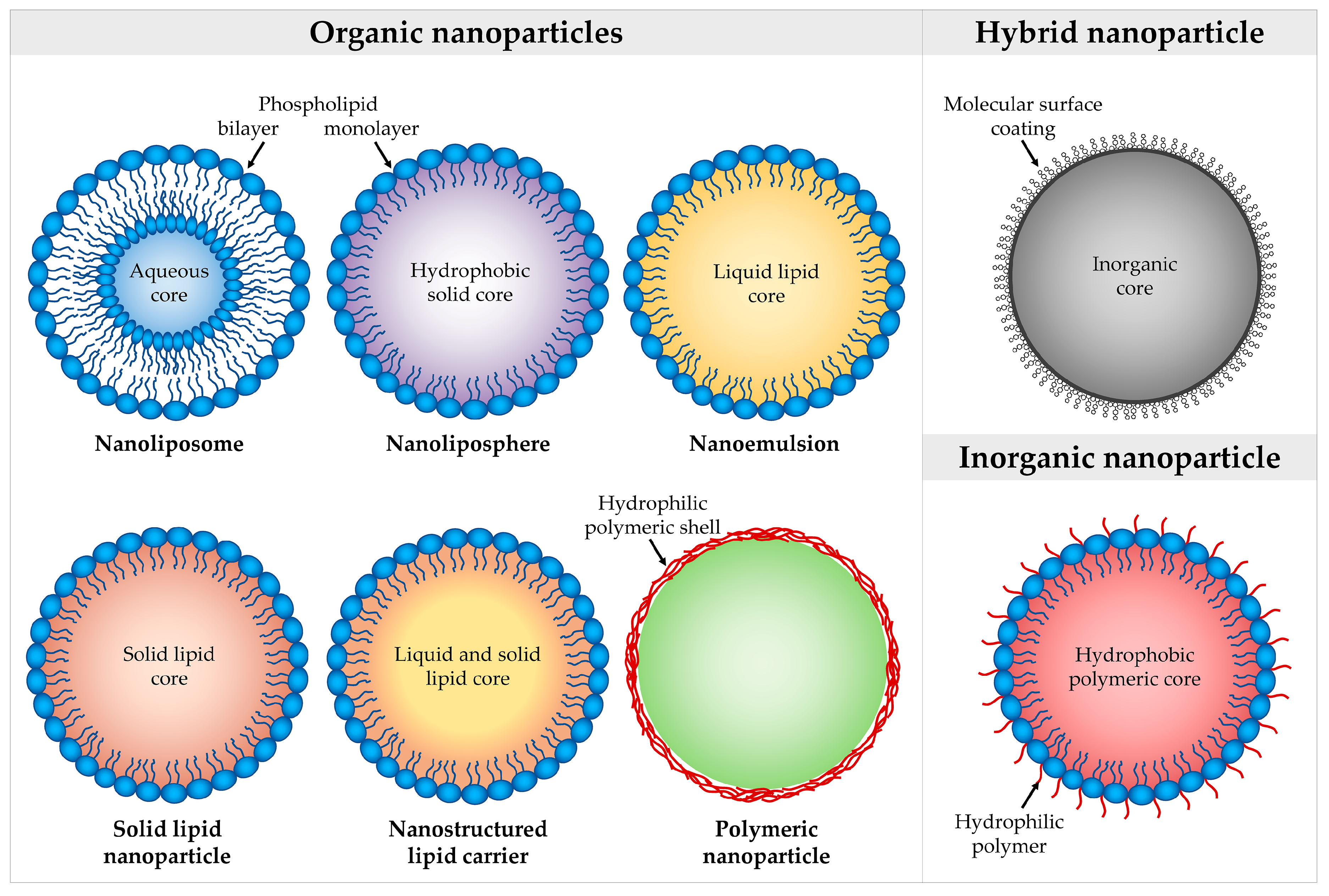 Nanomaterials 10 01232 g003