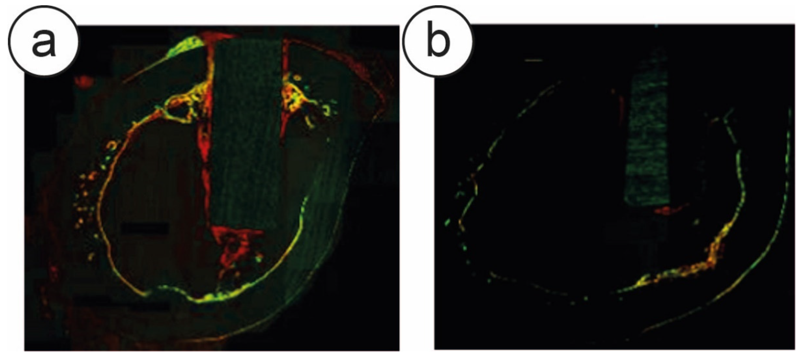 Nanomaterials 10 01233 g002 Nanomaterials 10 01233 g002