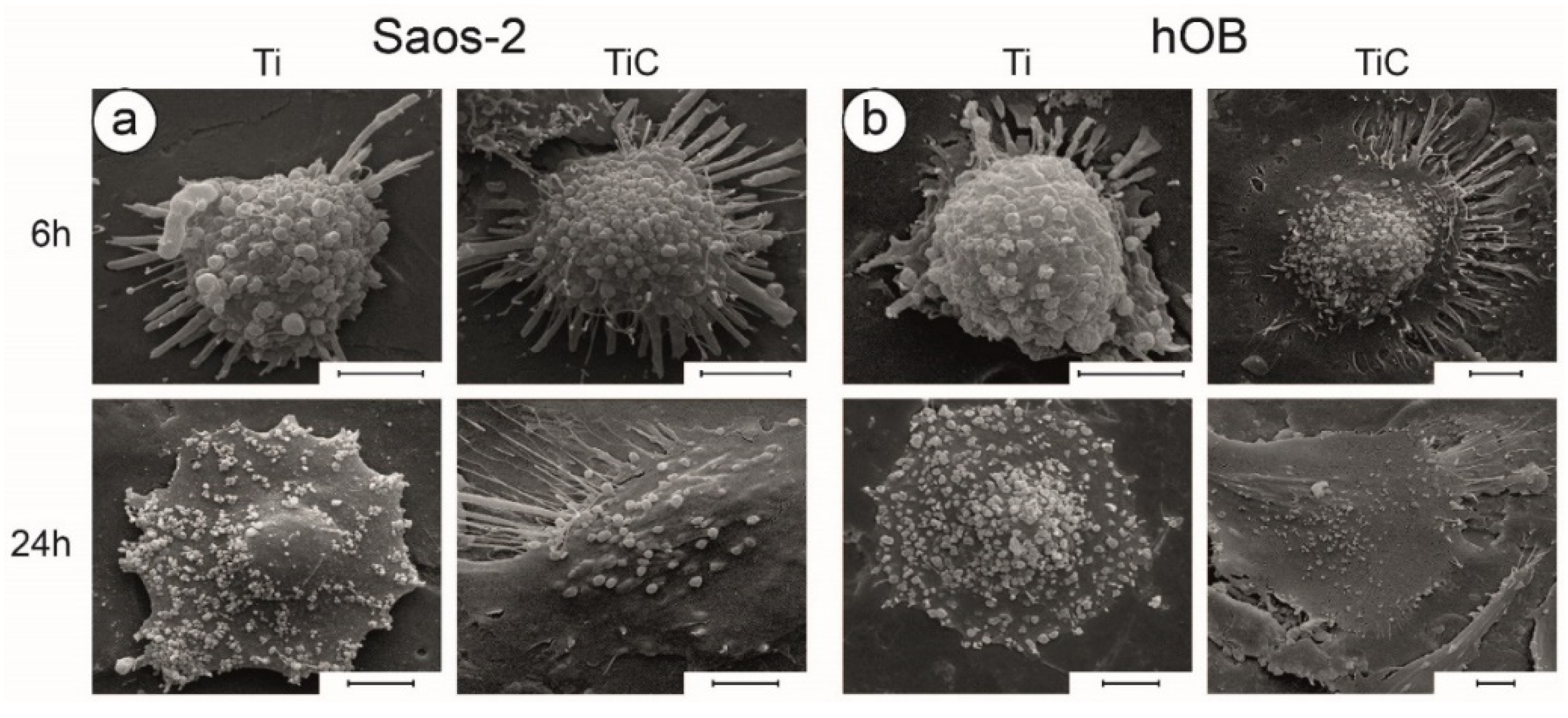 Nanomaterials 10 01233 g008 Nanomaterials 10 01233 g008
