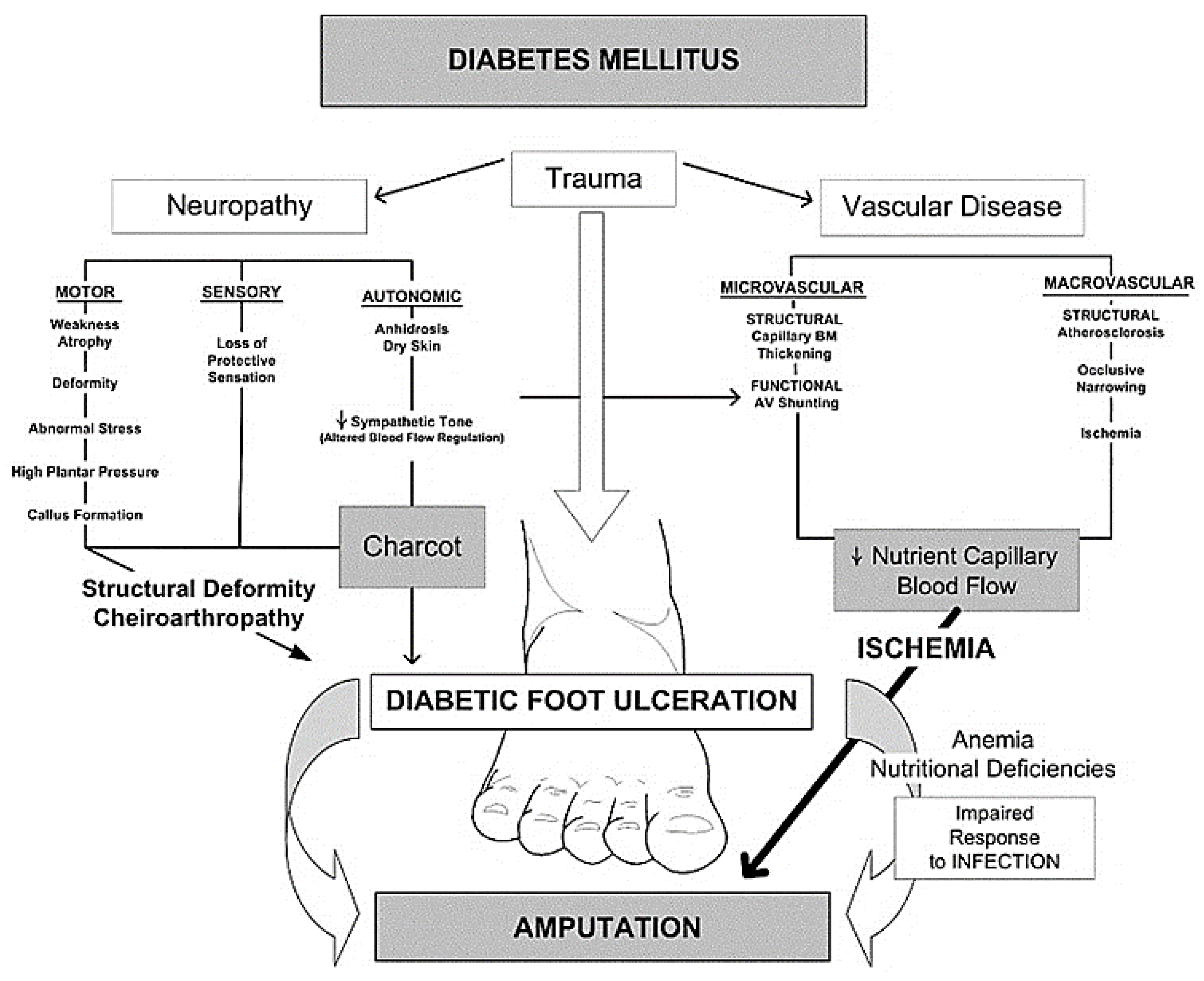 Cetosis diabetica proceso fisiológico