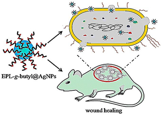 Nanomaterials 10 01234 g006 550