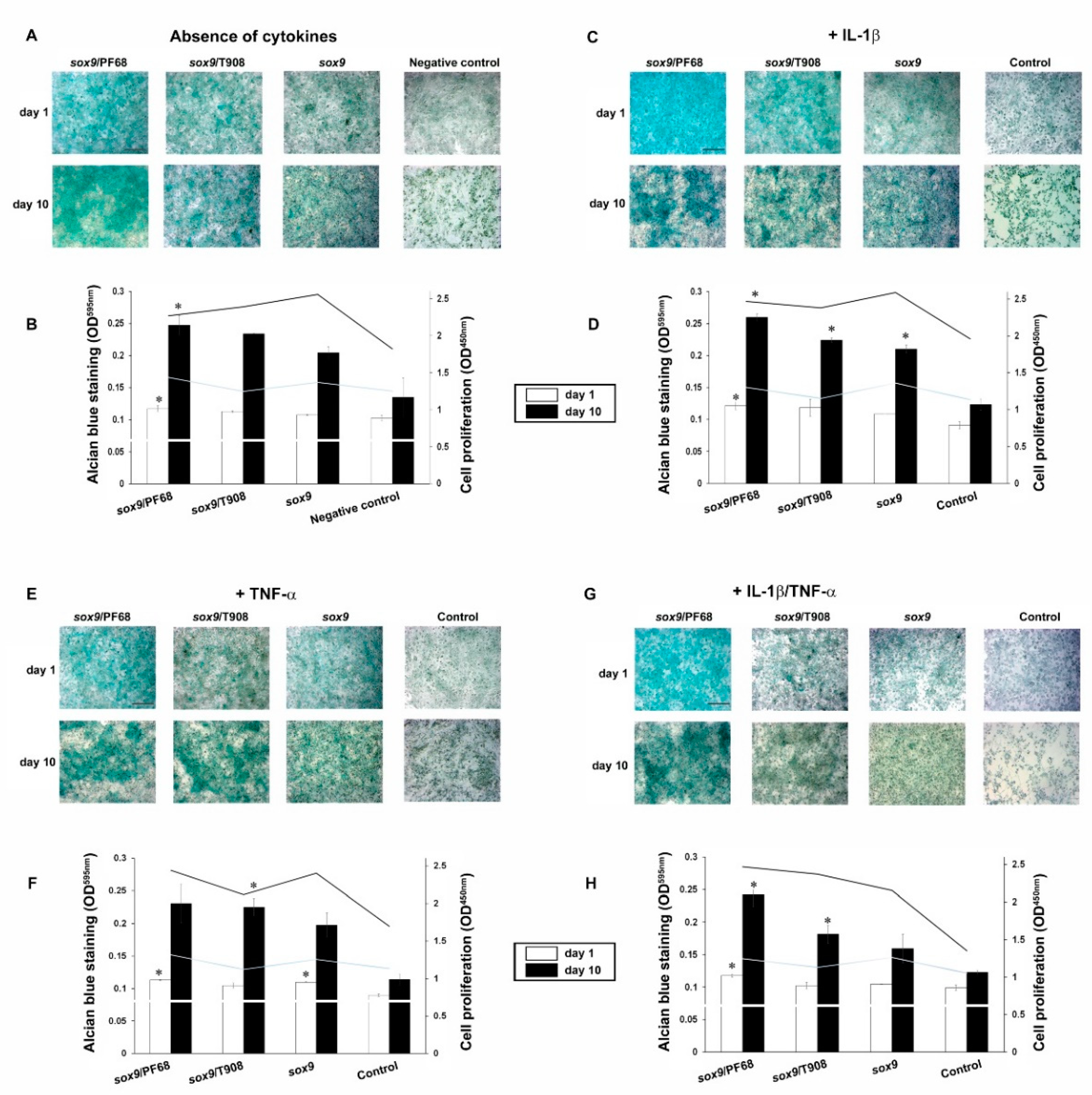 Nanomaterials 10 01238 g003
