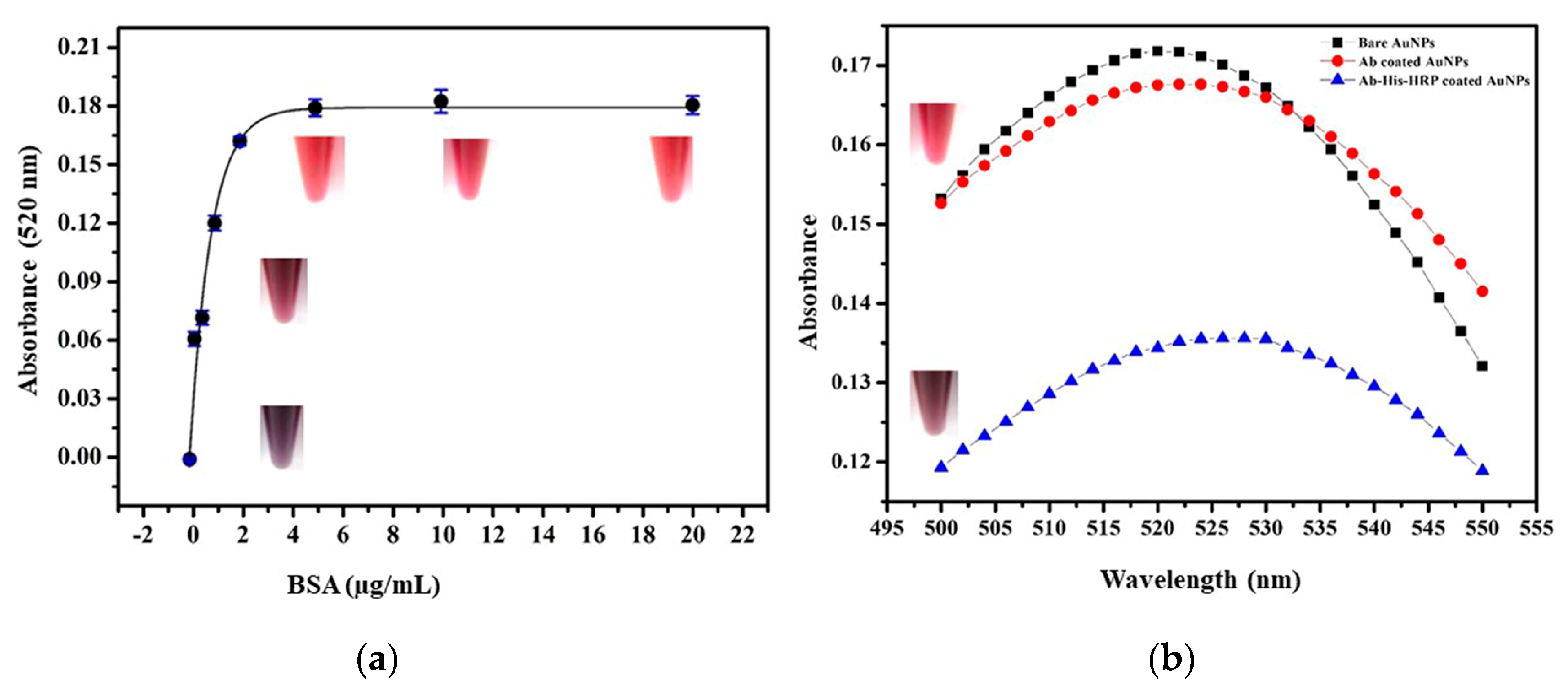 Nanomaterials 10 01240 g001