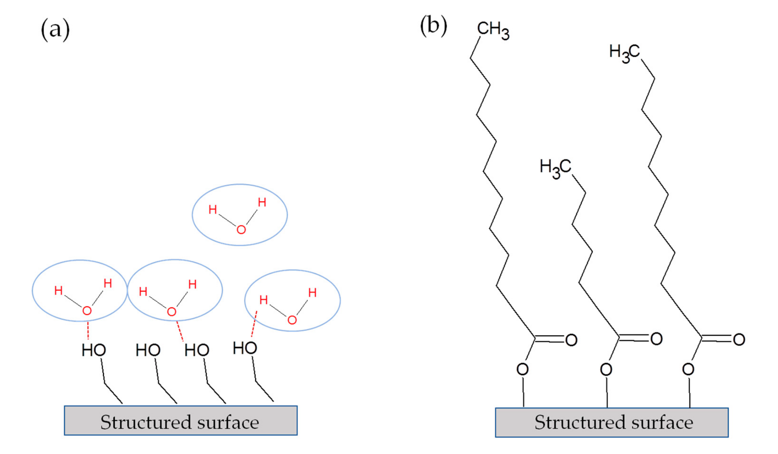 Nanomaterials 10 01241 g007