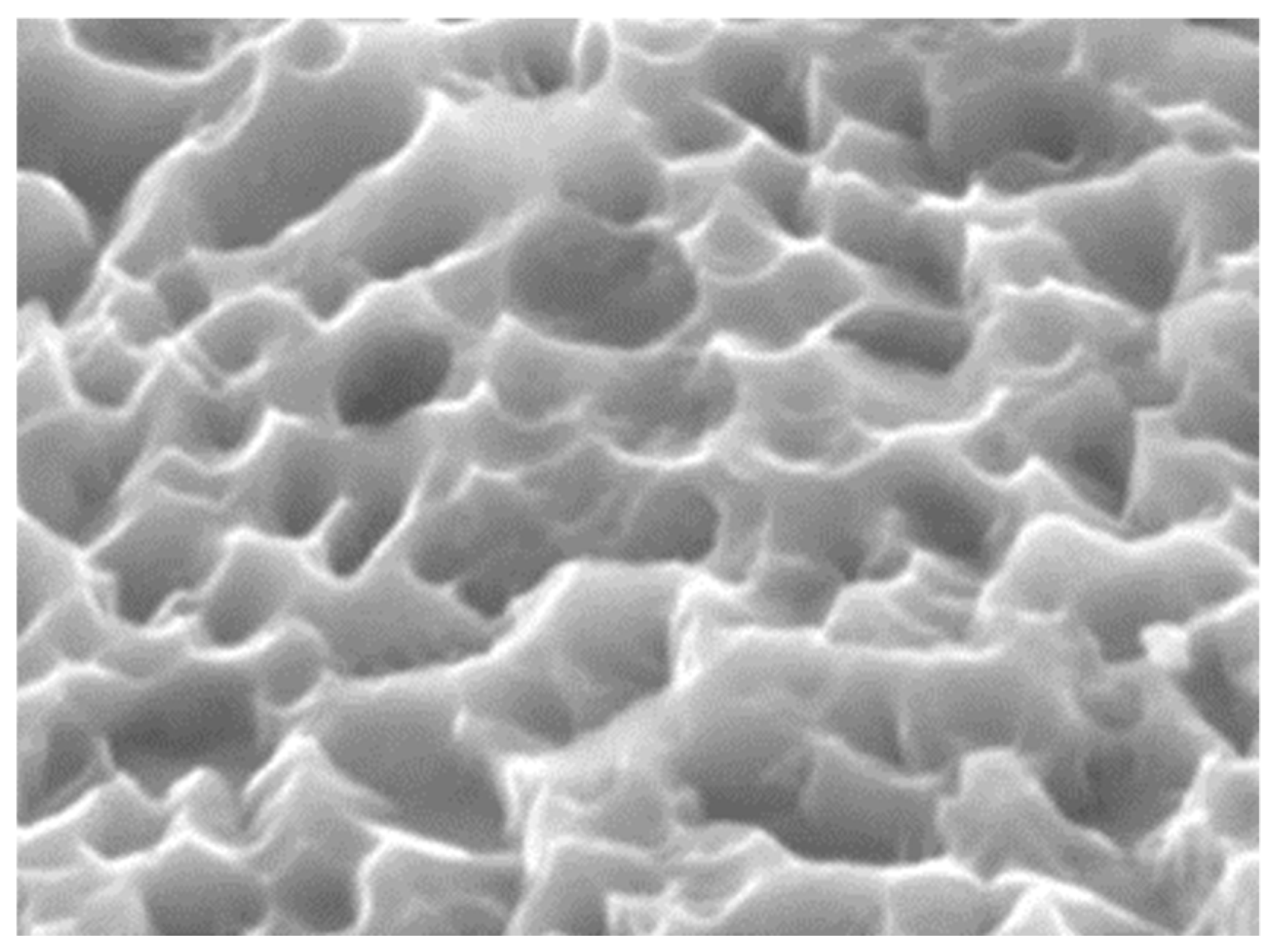 Nanomaterials 10 01244 g005 Nanomaterials 10 01244 g005