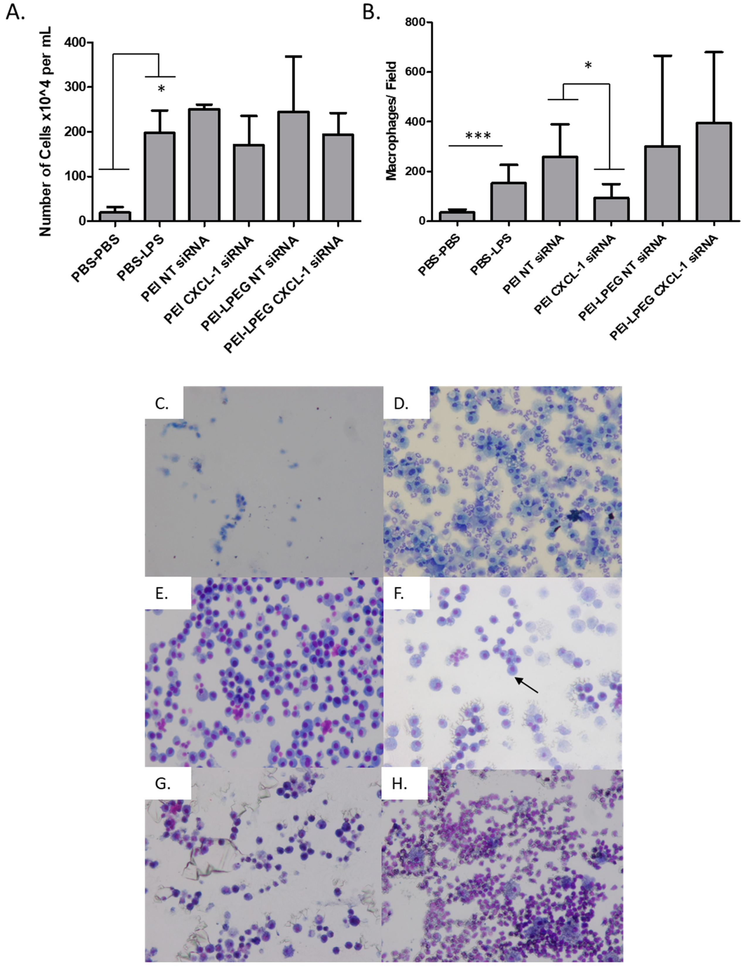 Nanomaterials 10 01248 g007 Nanomaterials 10 01248 g007