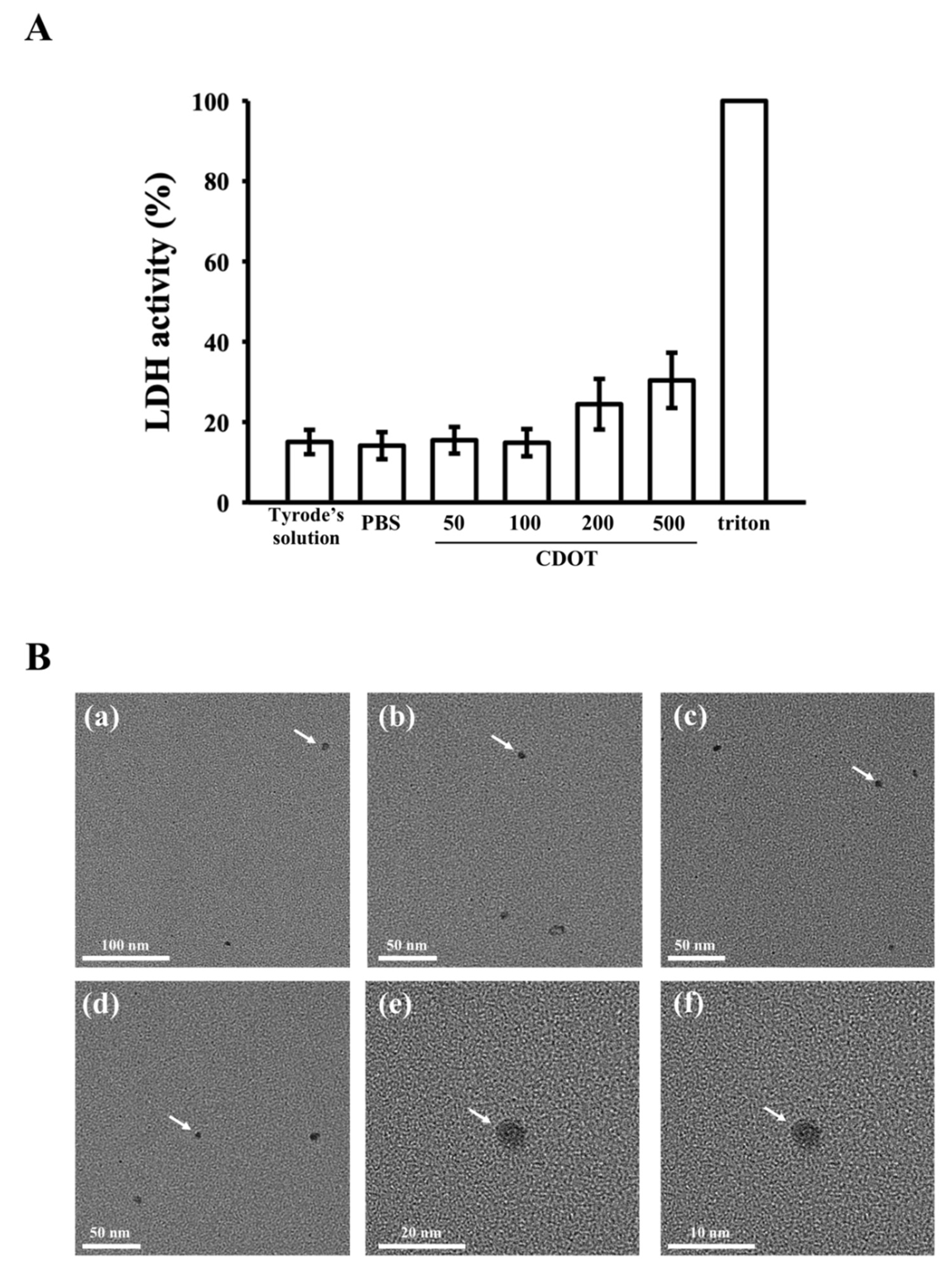 Nanomaterials 10 01254 g002