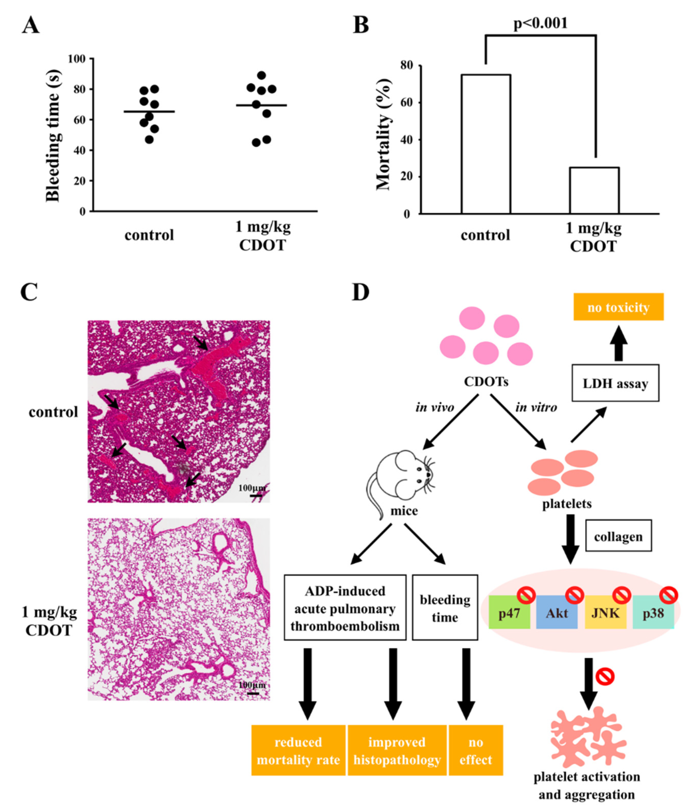 Nanomaterials 10 01254 g006