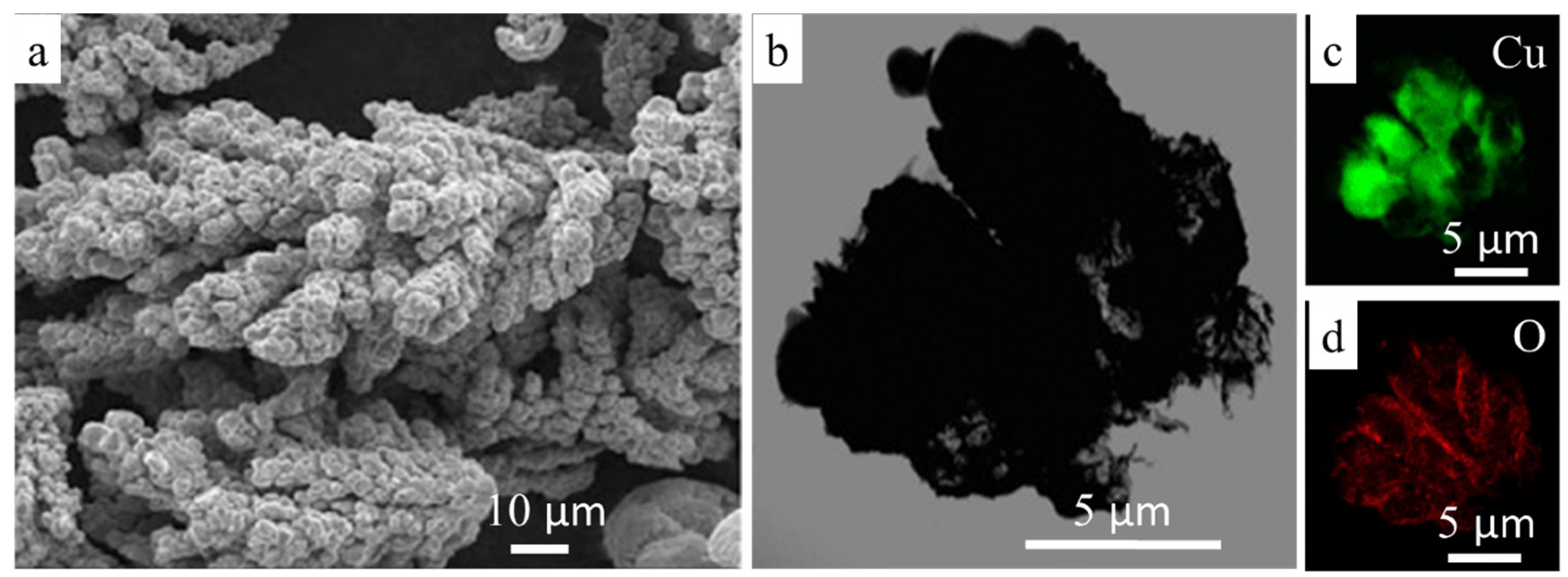 Nanomaterials 10 01261 g001 Nanomaterials 10 01261 g001