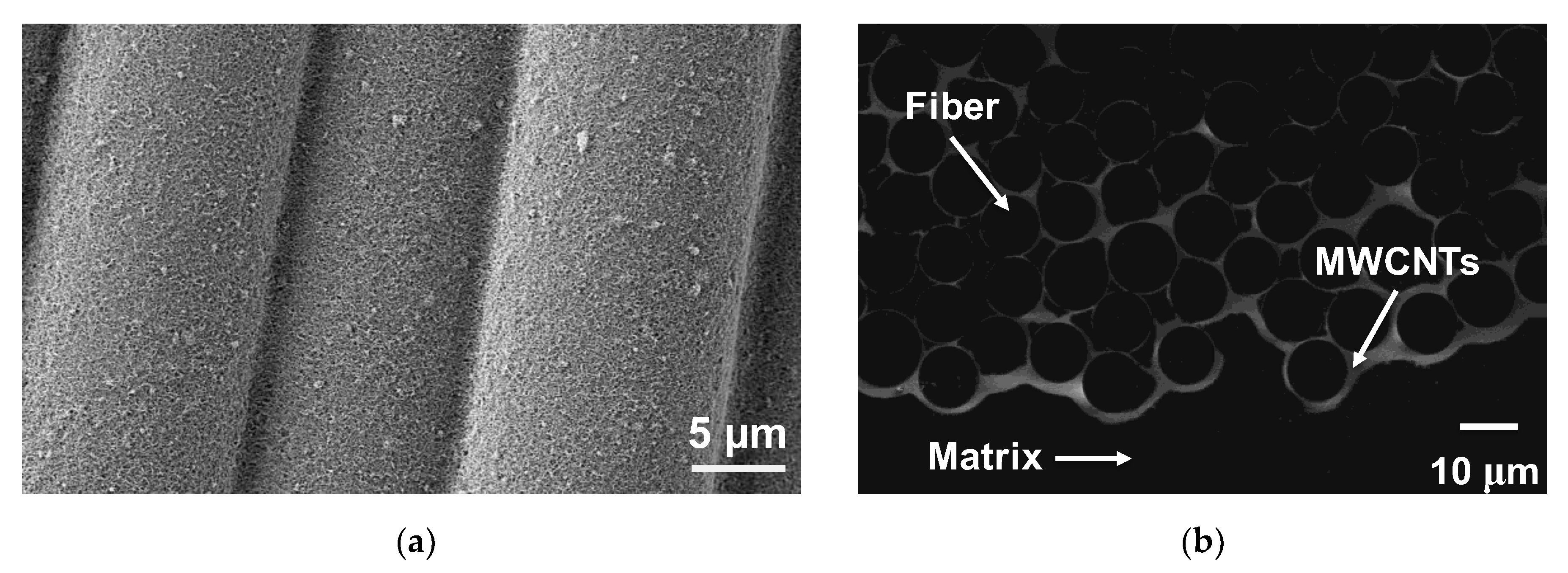 Nanomaterials 10 01262 g001 Nanomaterials 10 01262 g001