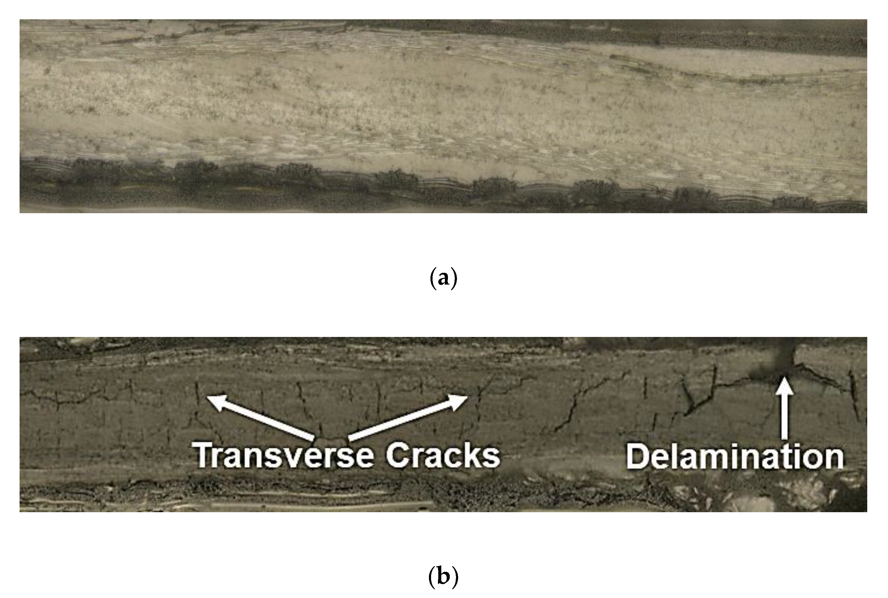 Nanomaterials 10 01262 g011 Nanomaterials 10 01262 g011