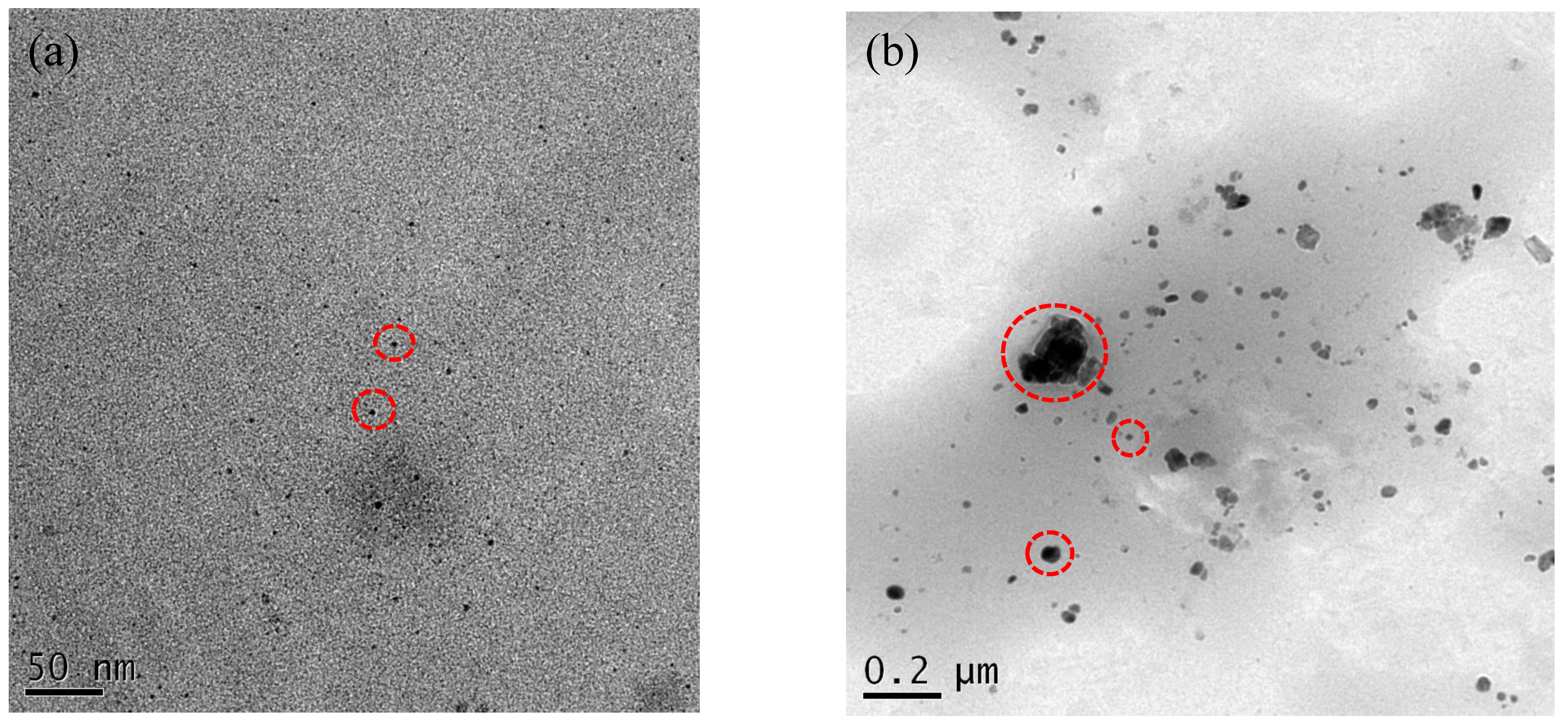 Nanomaterials 10 01264 g006 Nanomaterials 10 01264 g006
