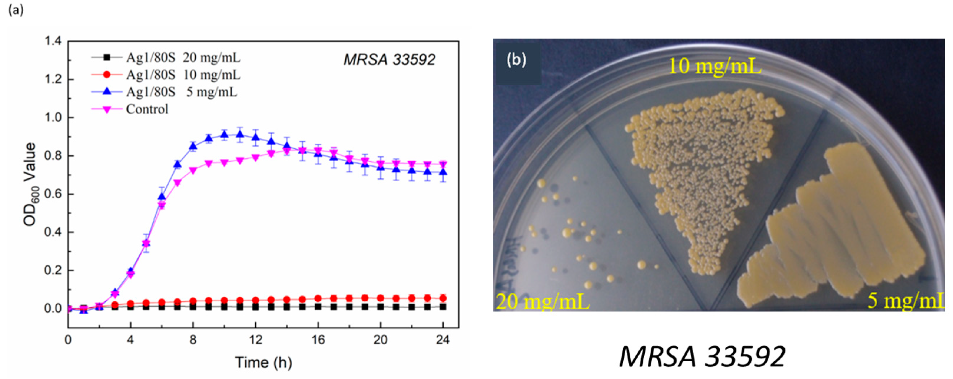 Nanomaterials 10 01264 g009 Nanomaterials 10 01264 g009