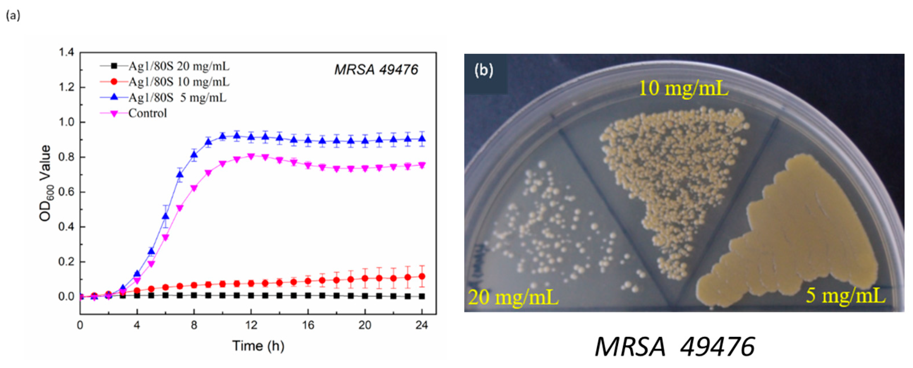 Nanomaterials 10 01264 g010 Nanomaterials 10 01264 g010