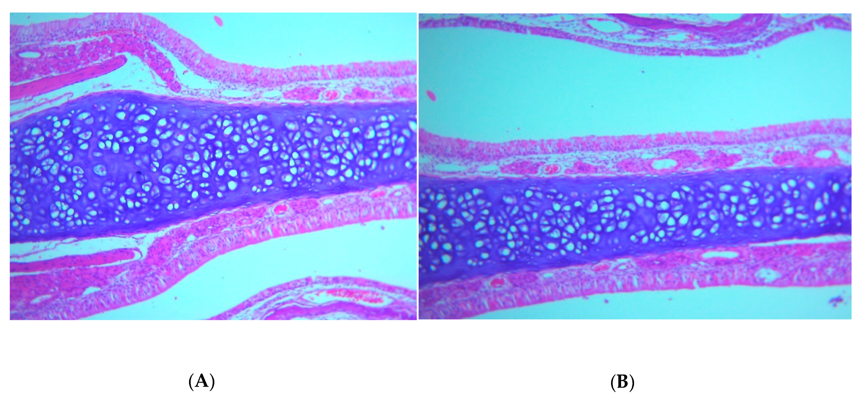 Nanomaterials 10 01270 g006a