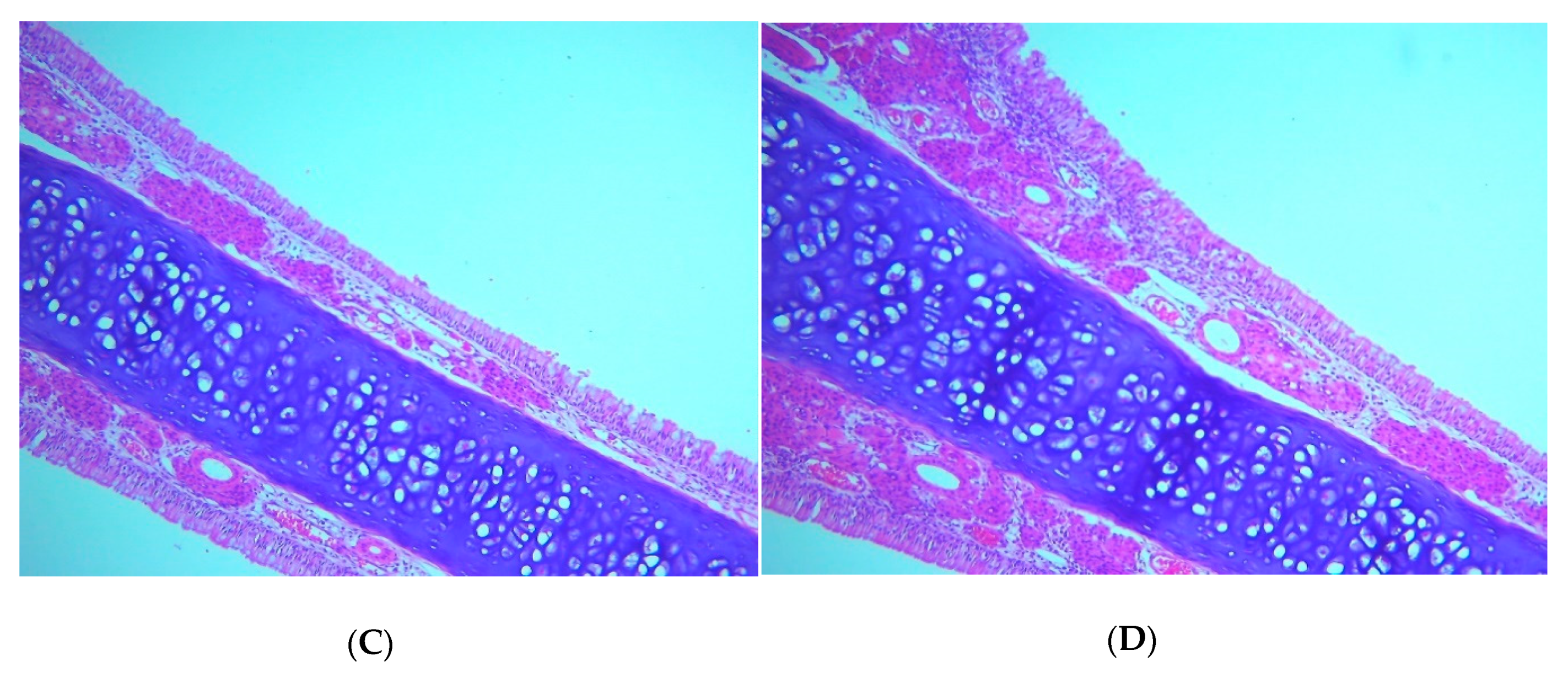 Nanomaterials 10 01270 g006b