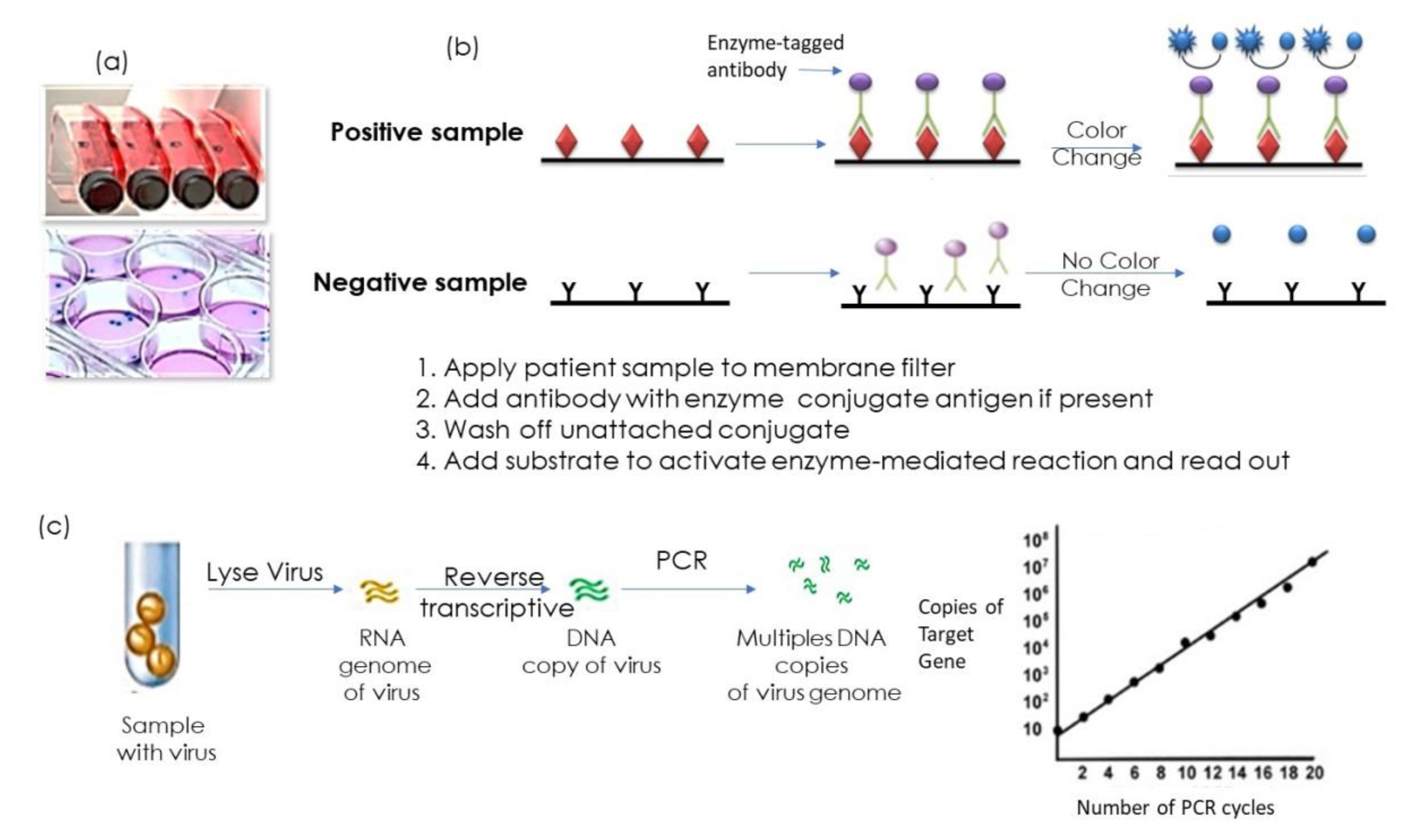 Nanomaterials 10 01271 g001