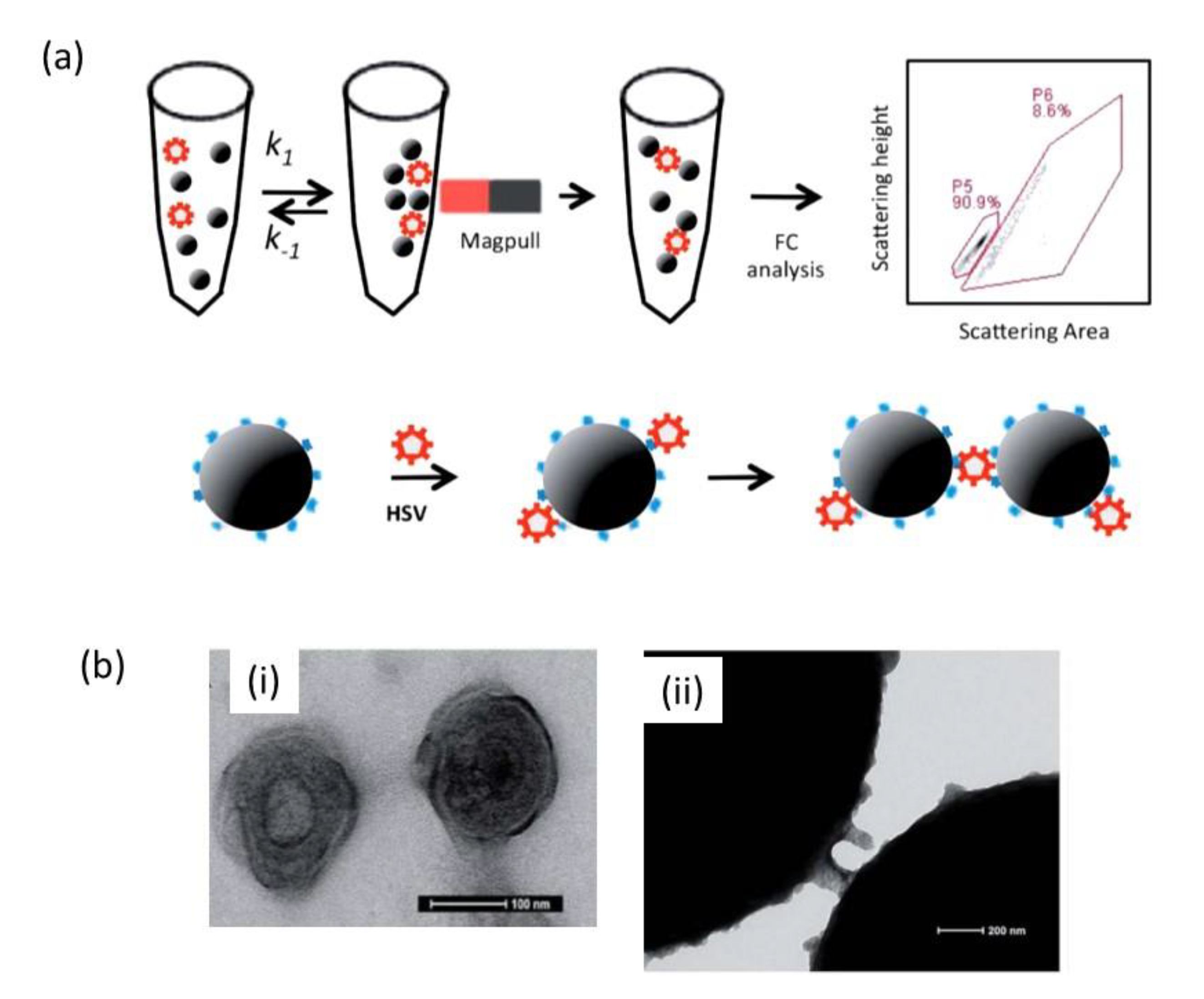 Nanomaterials 10 01271 g003