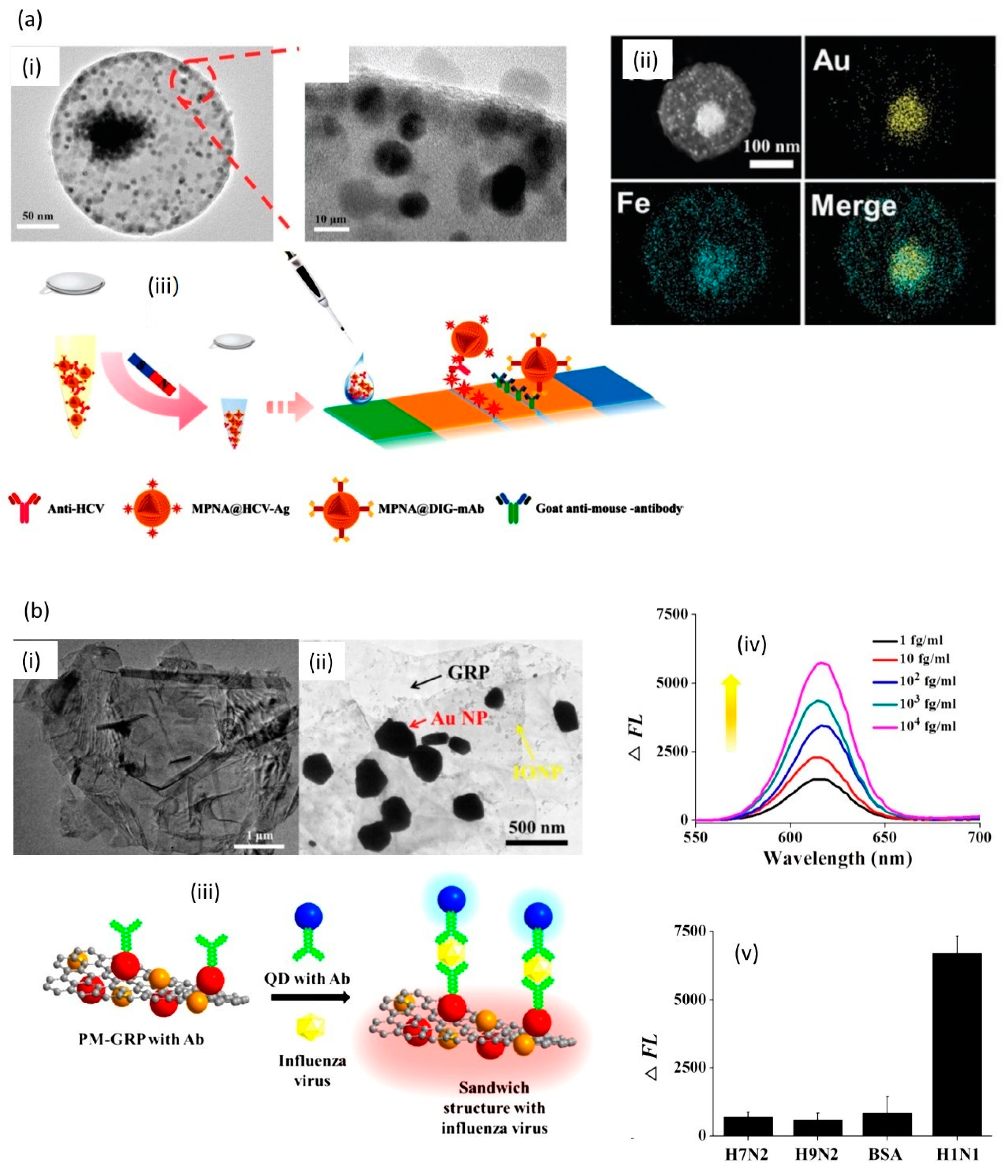 Nanomaterials 10 01271 g004