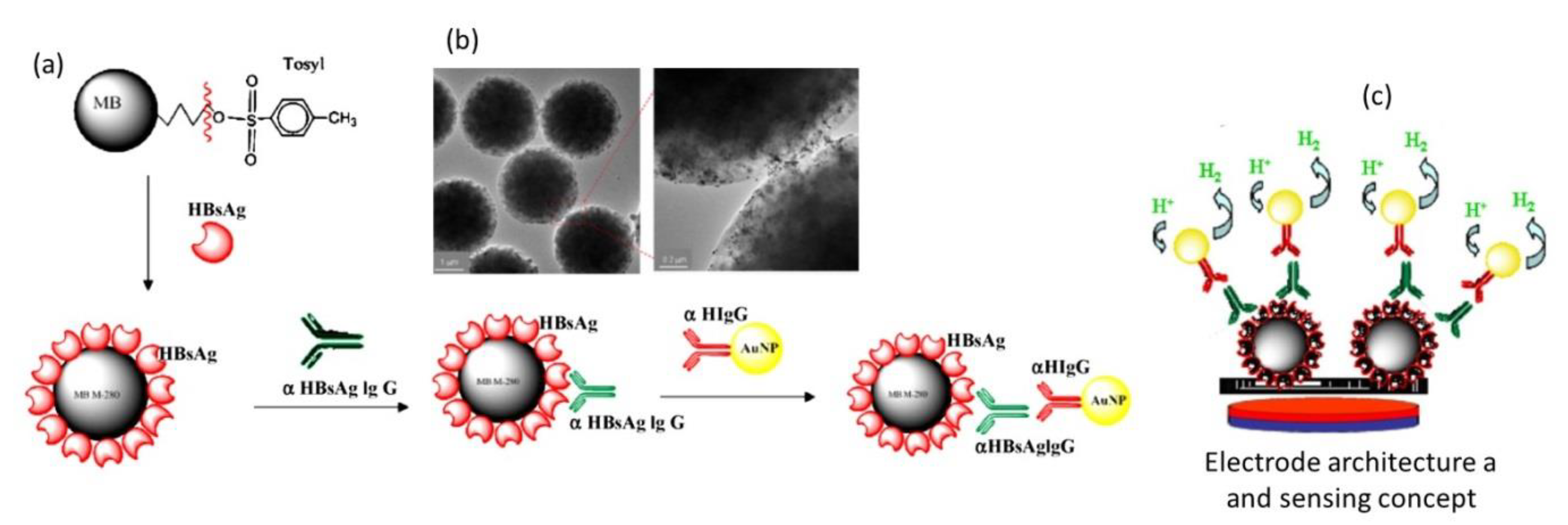 Nanomaterials 10 01271 g005