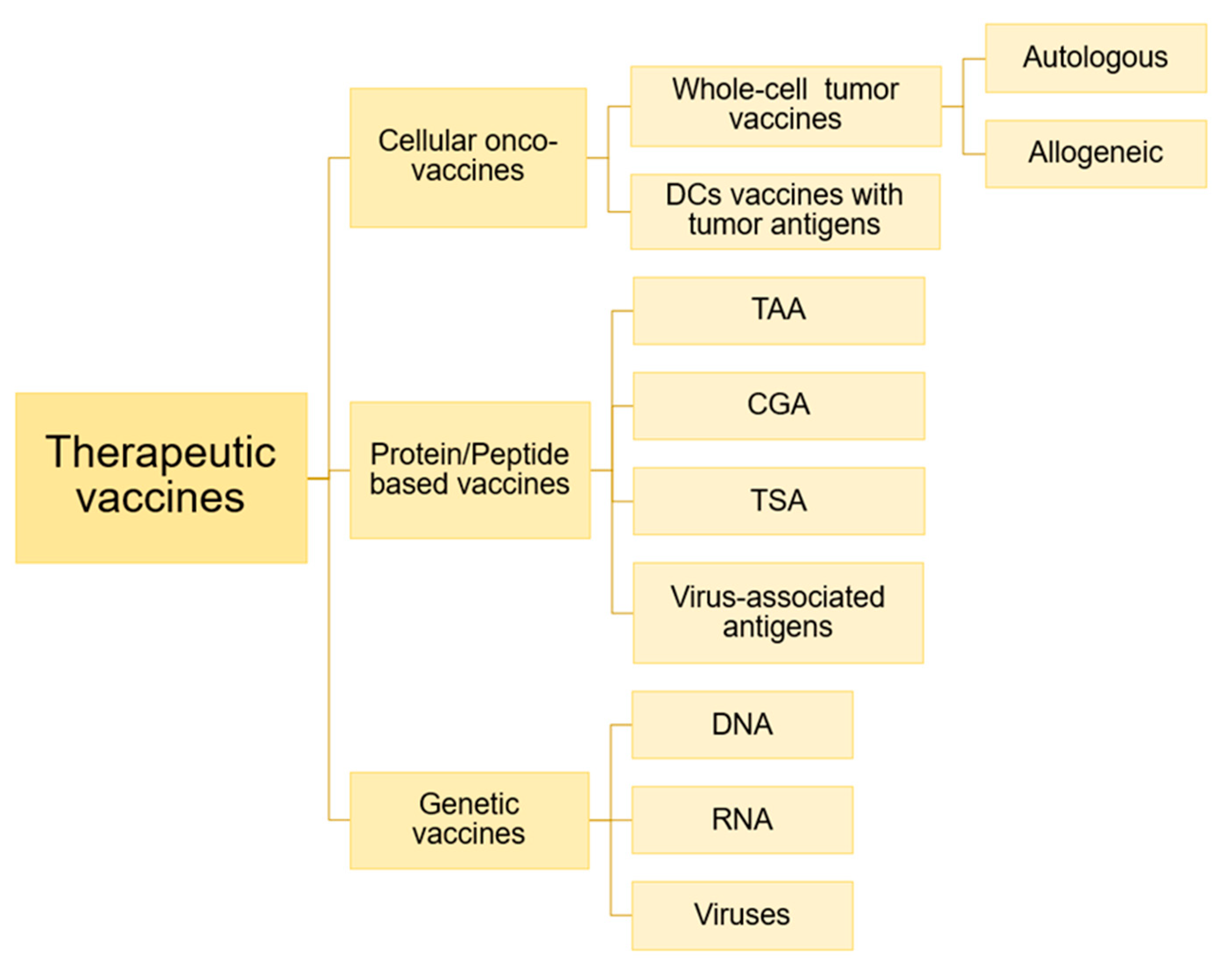 Nanomaterials 10 01274 g008