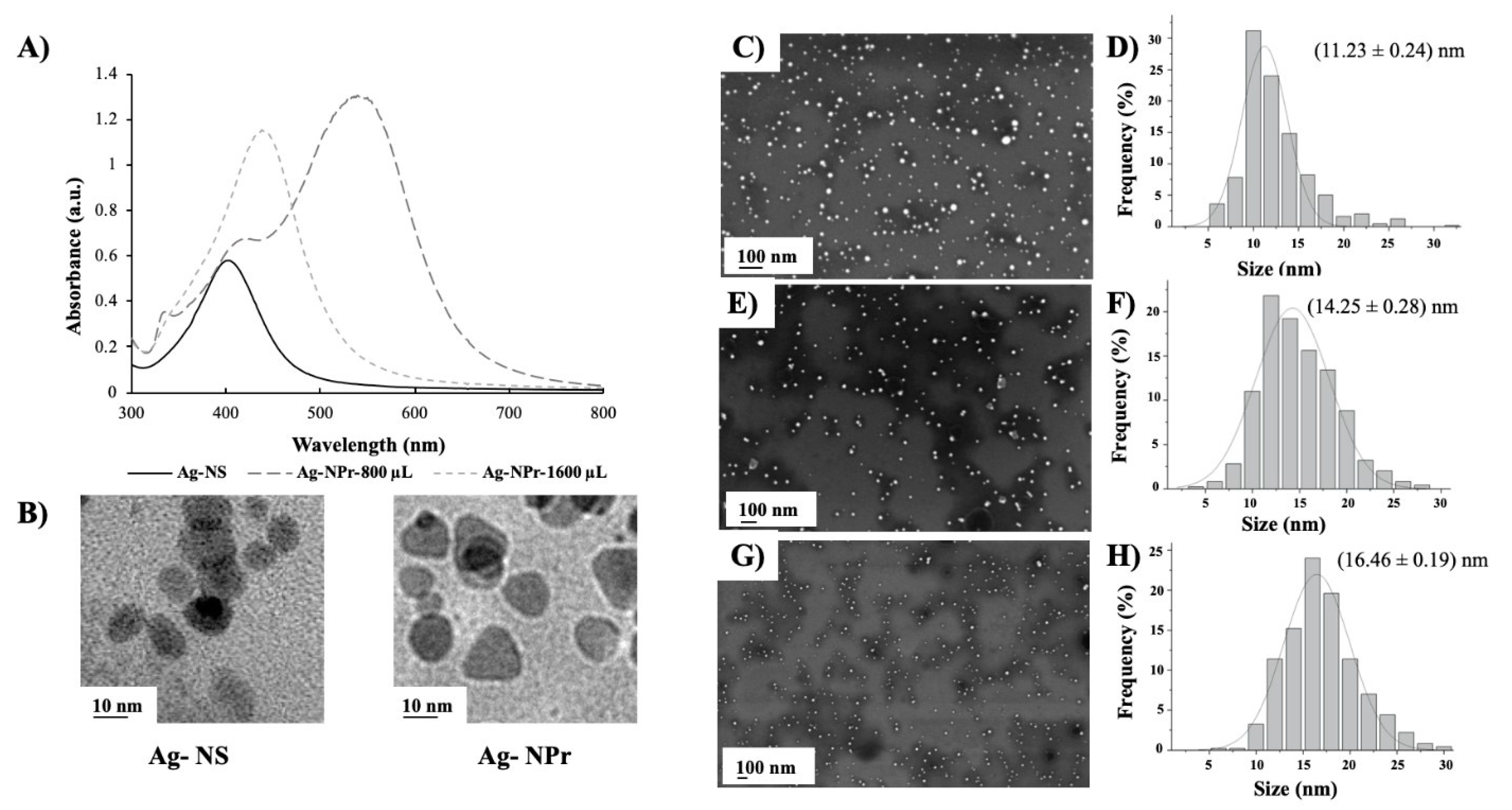Nanomaterials 10 01280 g001