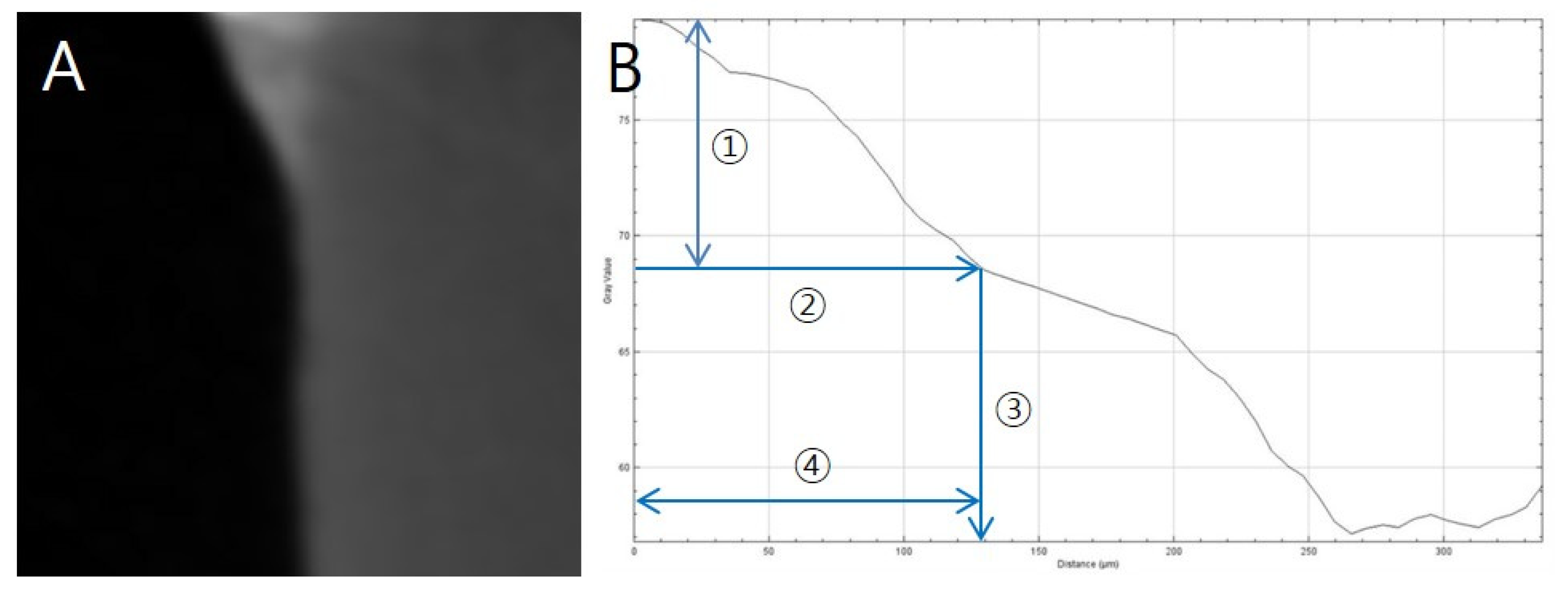 Nanomaterials 10 01282 g002 Nanomaterials 10 01282 g002