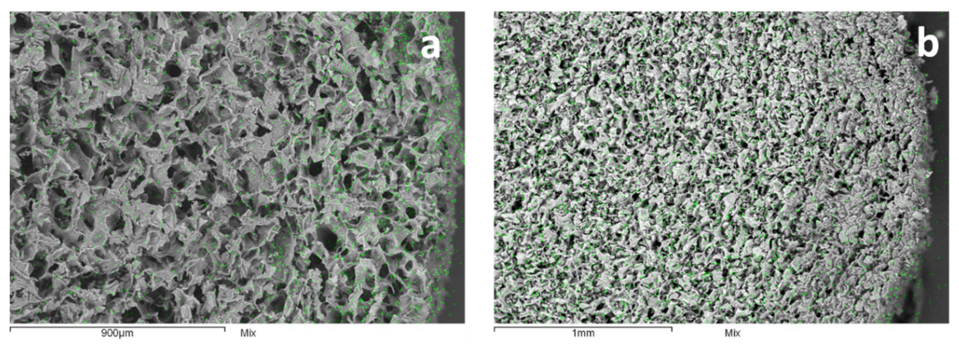 Nanomaterials 10 01283 g003 Nanomaterials 10 01283 g003