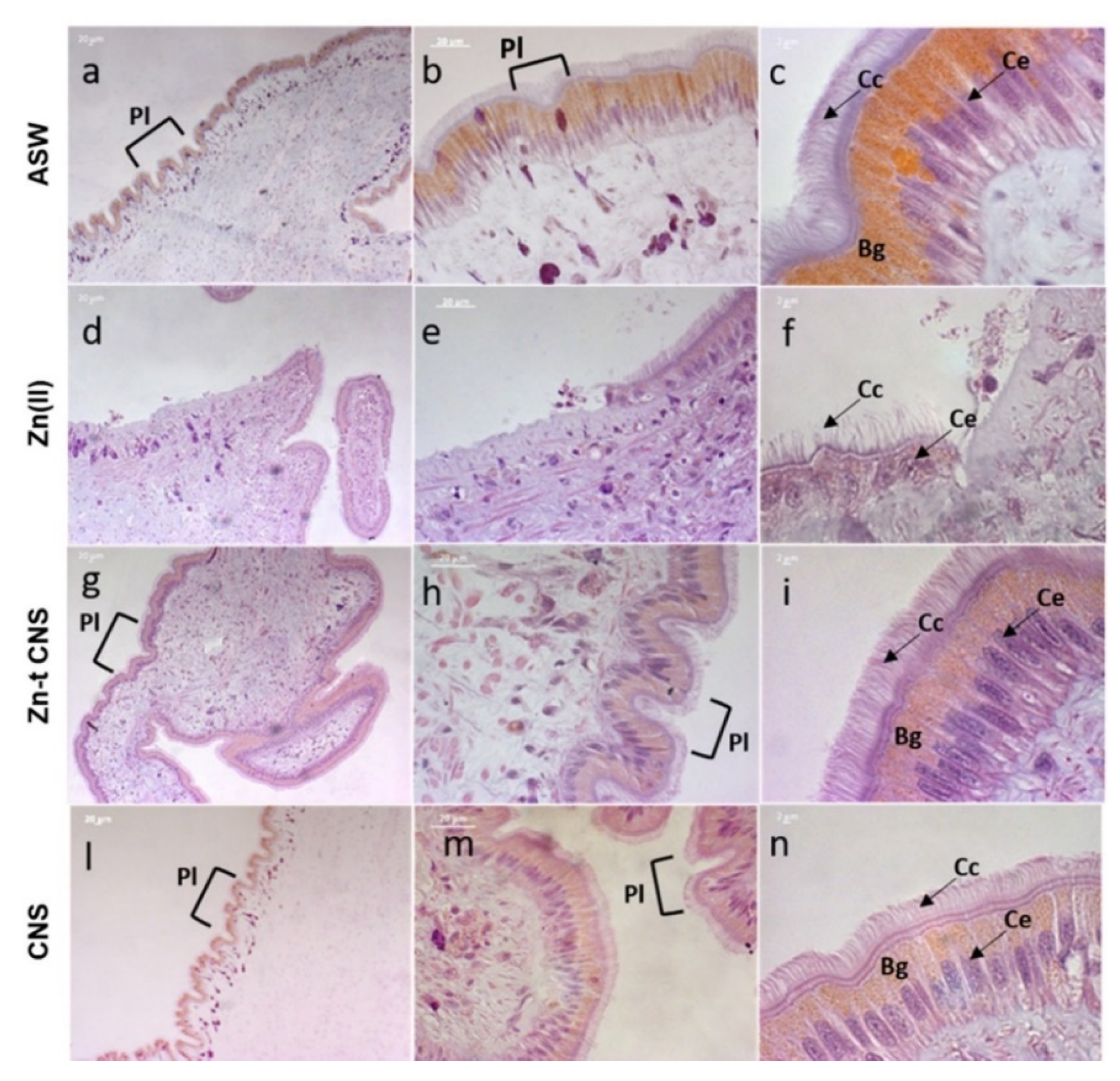 Nanomaterials 10 01283 g008 Nanomaterials 10 01283 g008