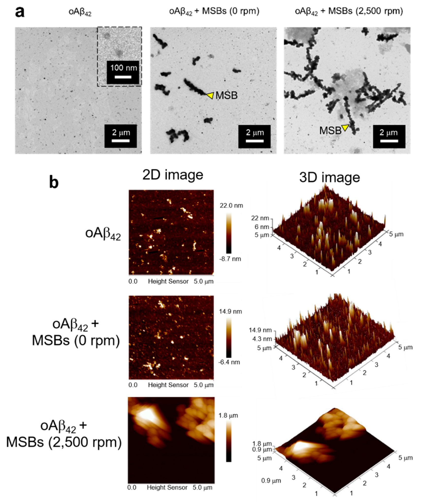 Nanomaterials 10 01284 g004 Nanomaterials 10 01284 g004