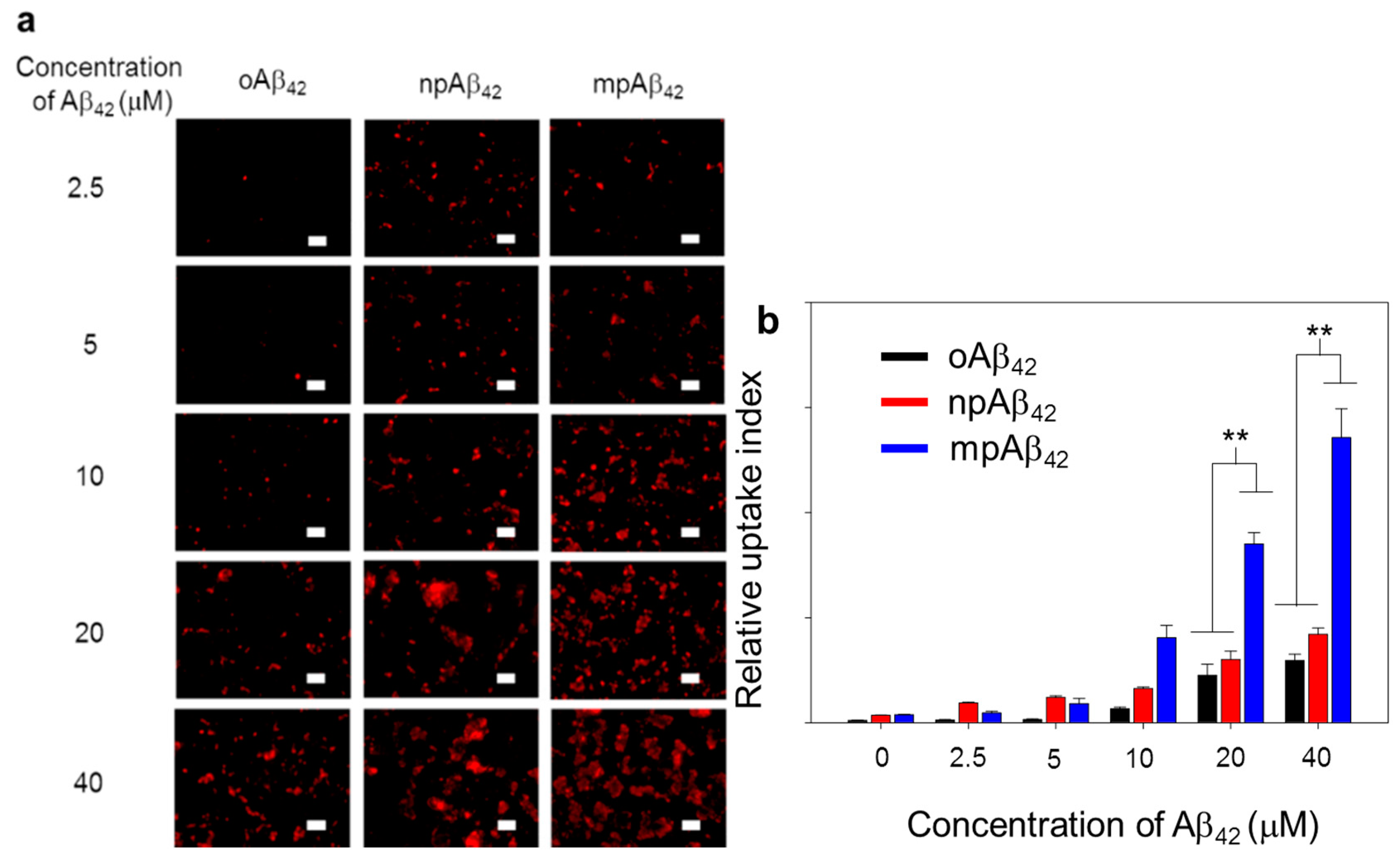 Nanomaterials 10 01284 g007 Nanomaterials 10 01284 g007