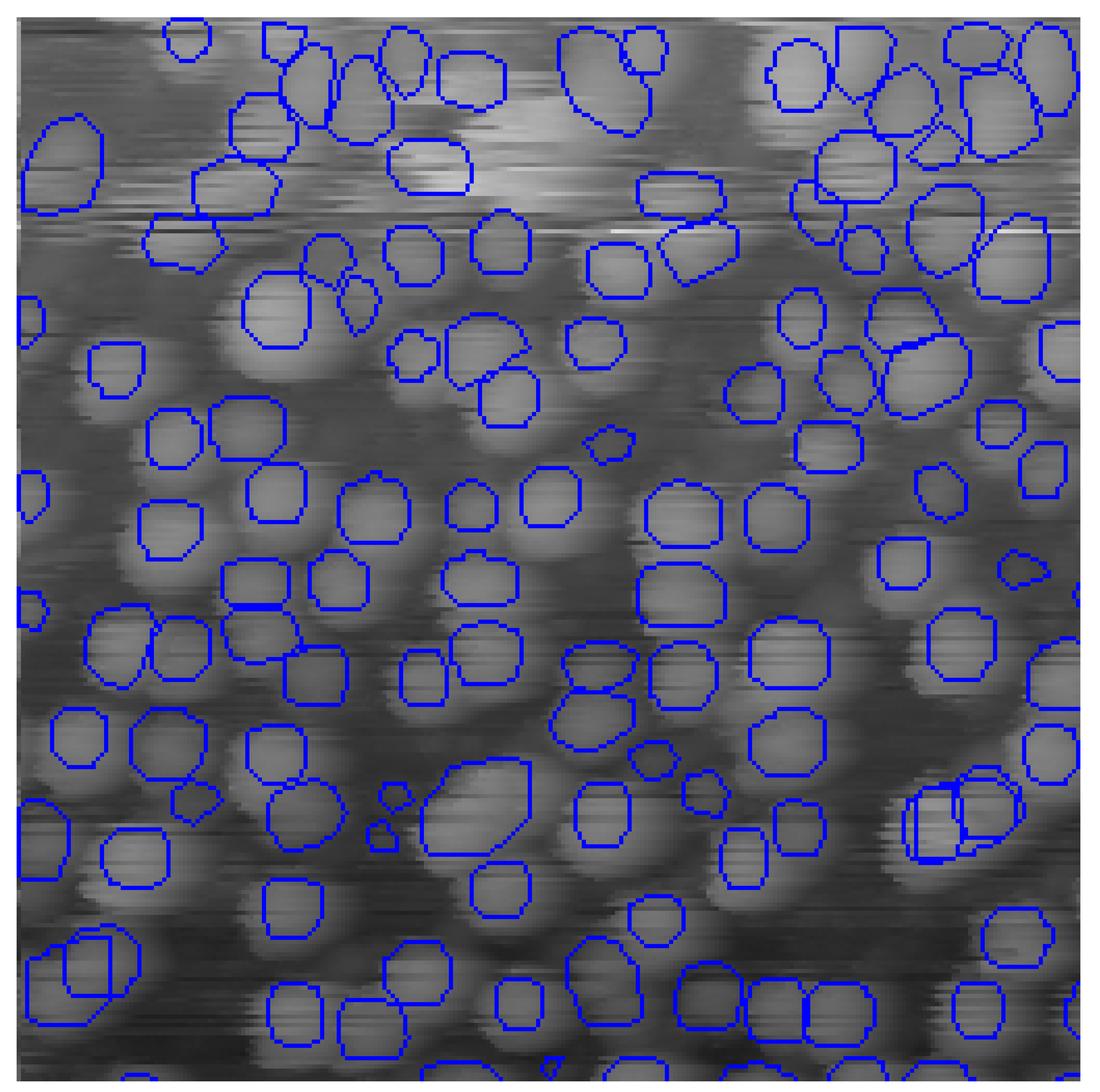 Nanomaterials 10 01285 g003 Nanomaterials 10 01285 g003