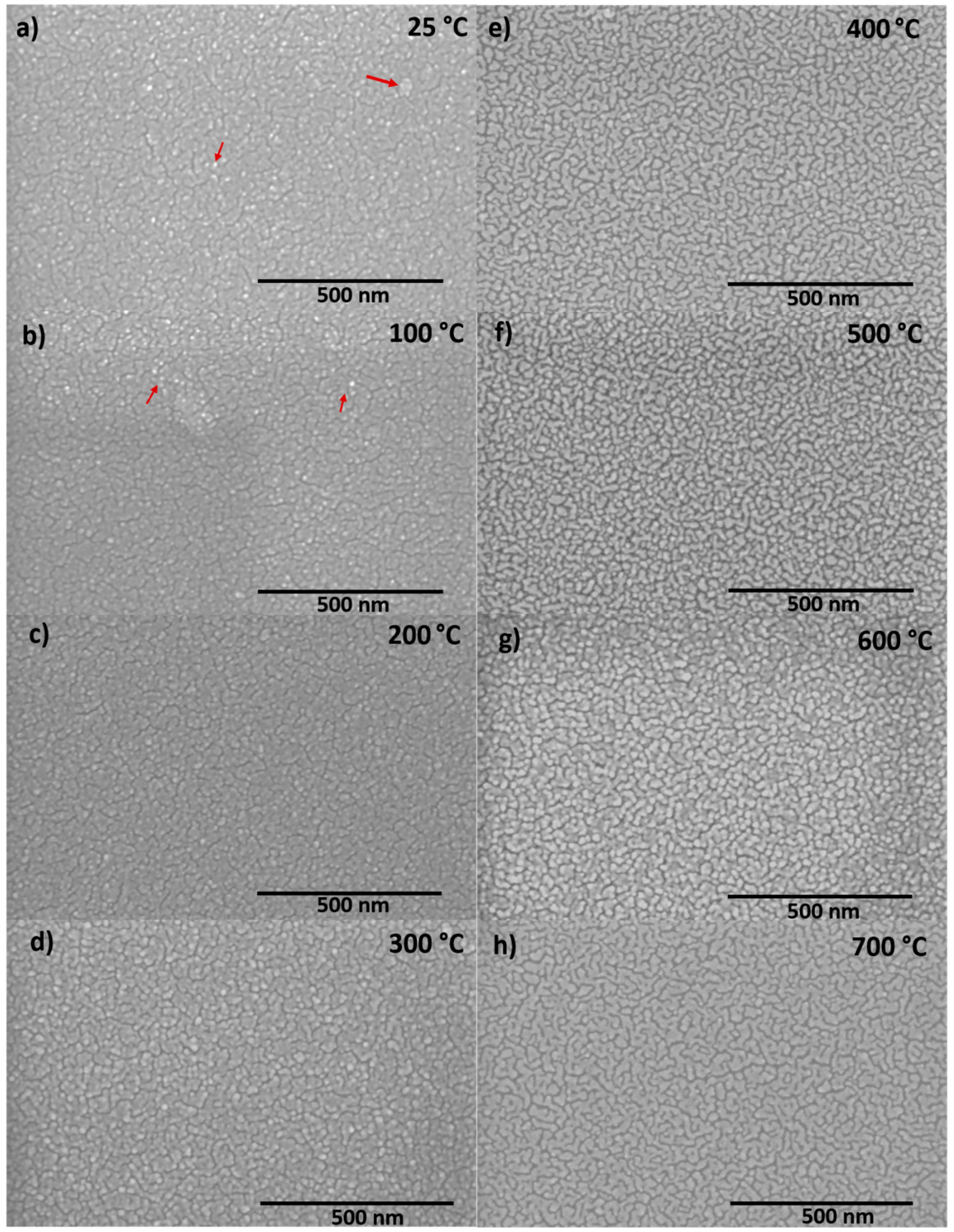 Nanomaterials 10 01287 g004