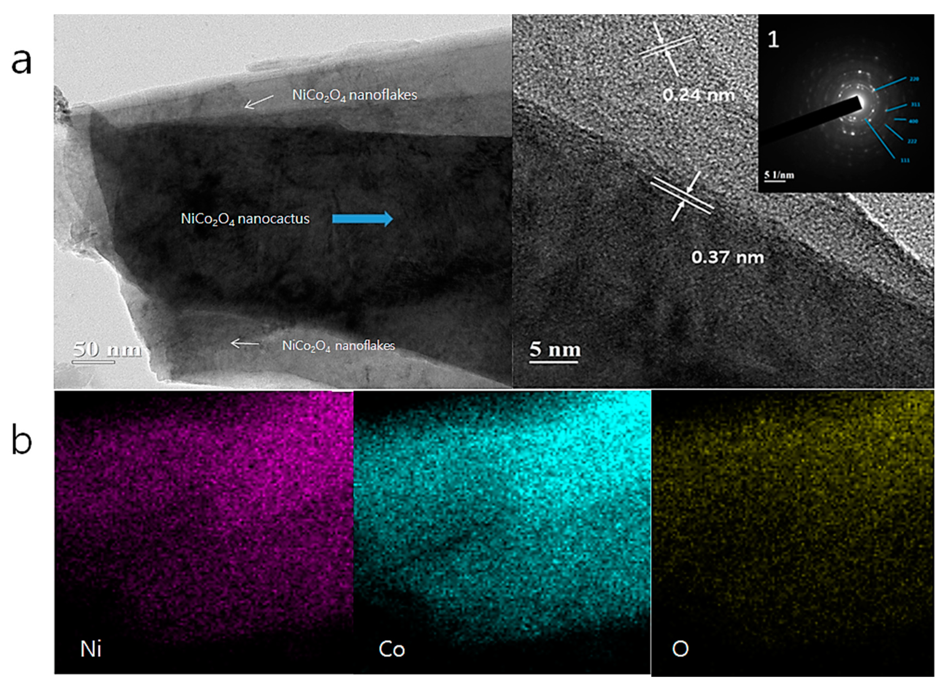 Nanomaterials 10 01292 g004 Nanomaterials 10 01292 g004