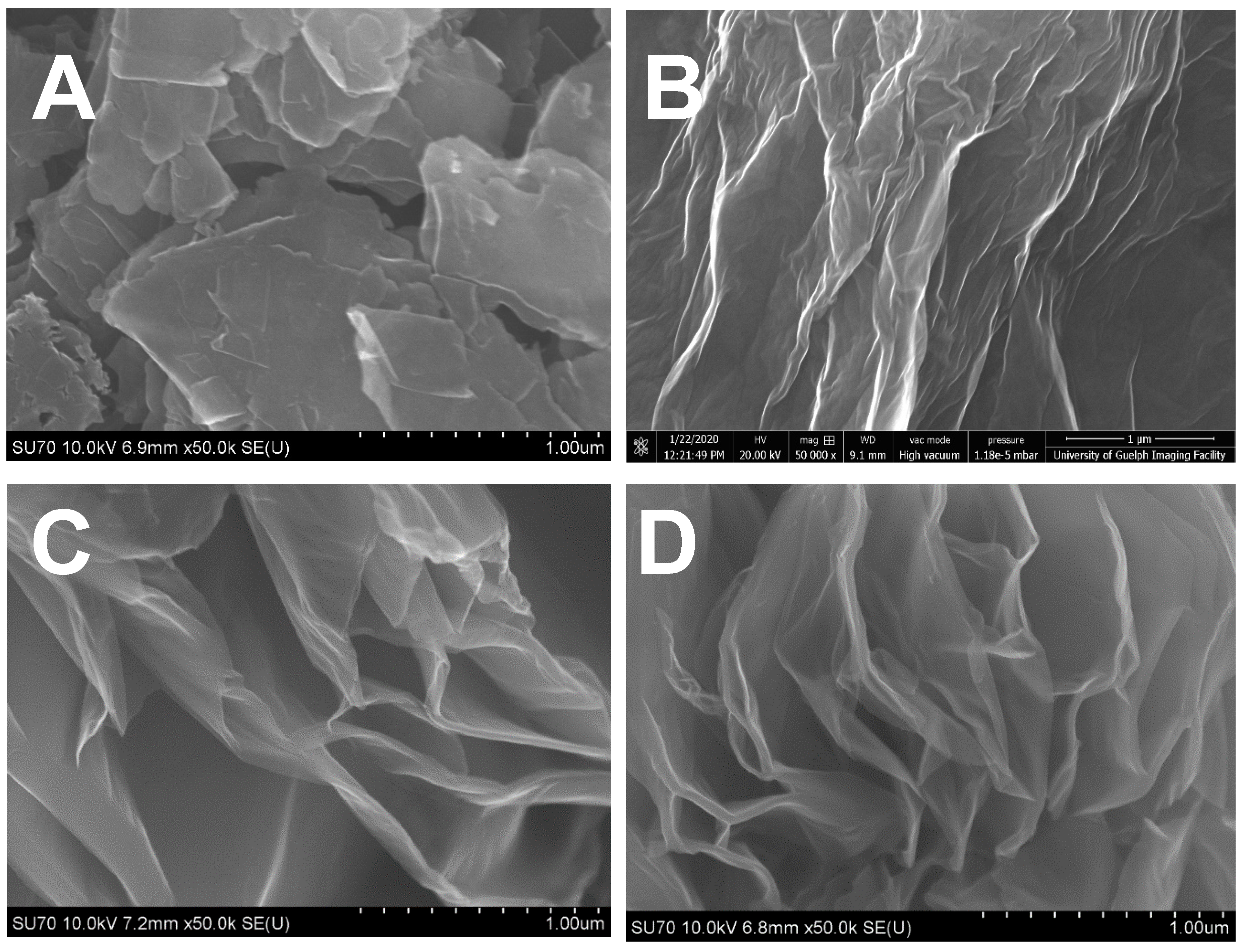 Nanomaterials 10 01295 g001