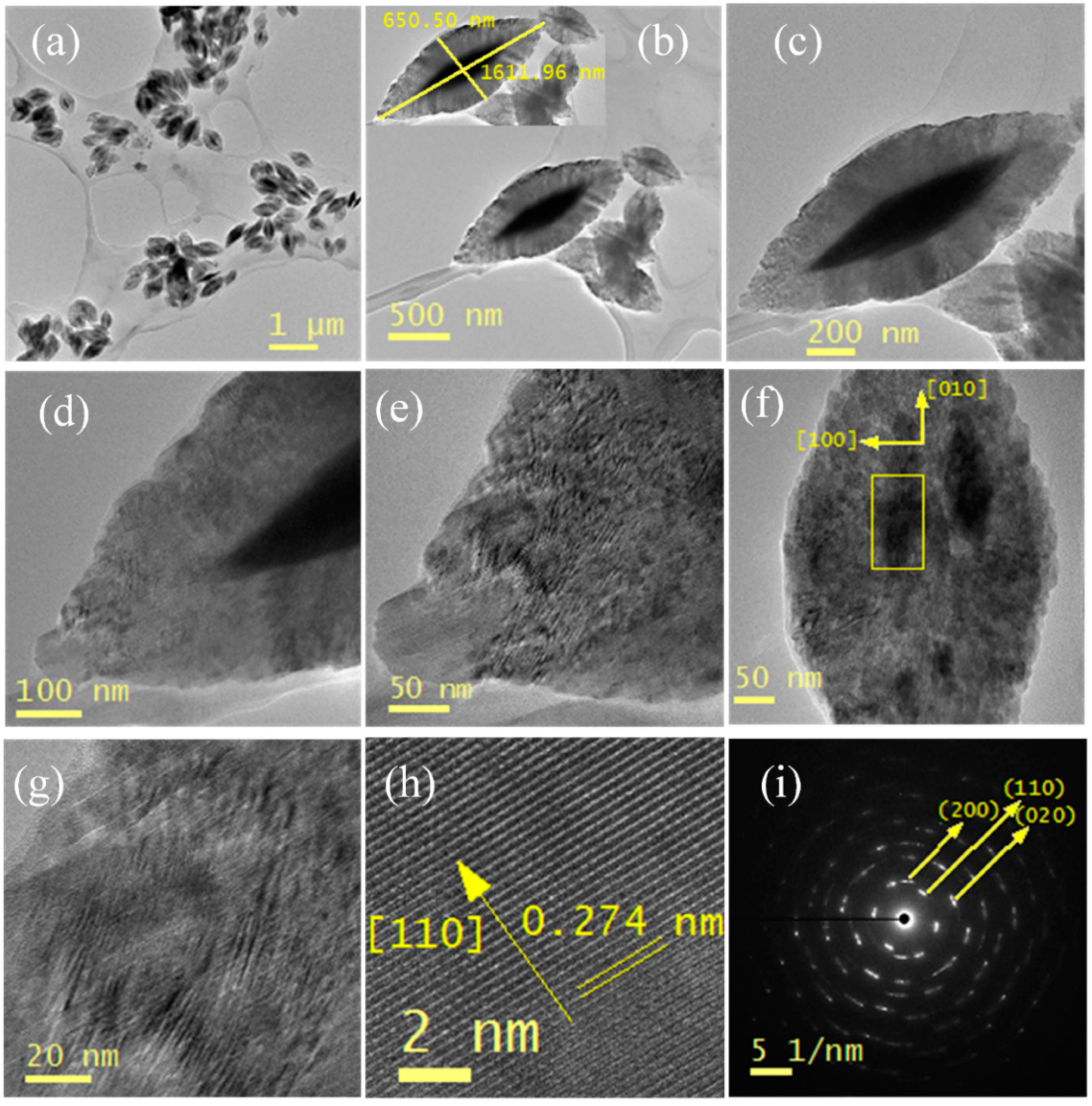 Nanomaterials 10 01298 g005
