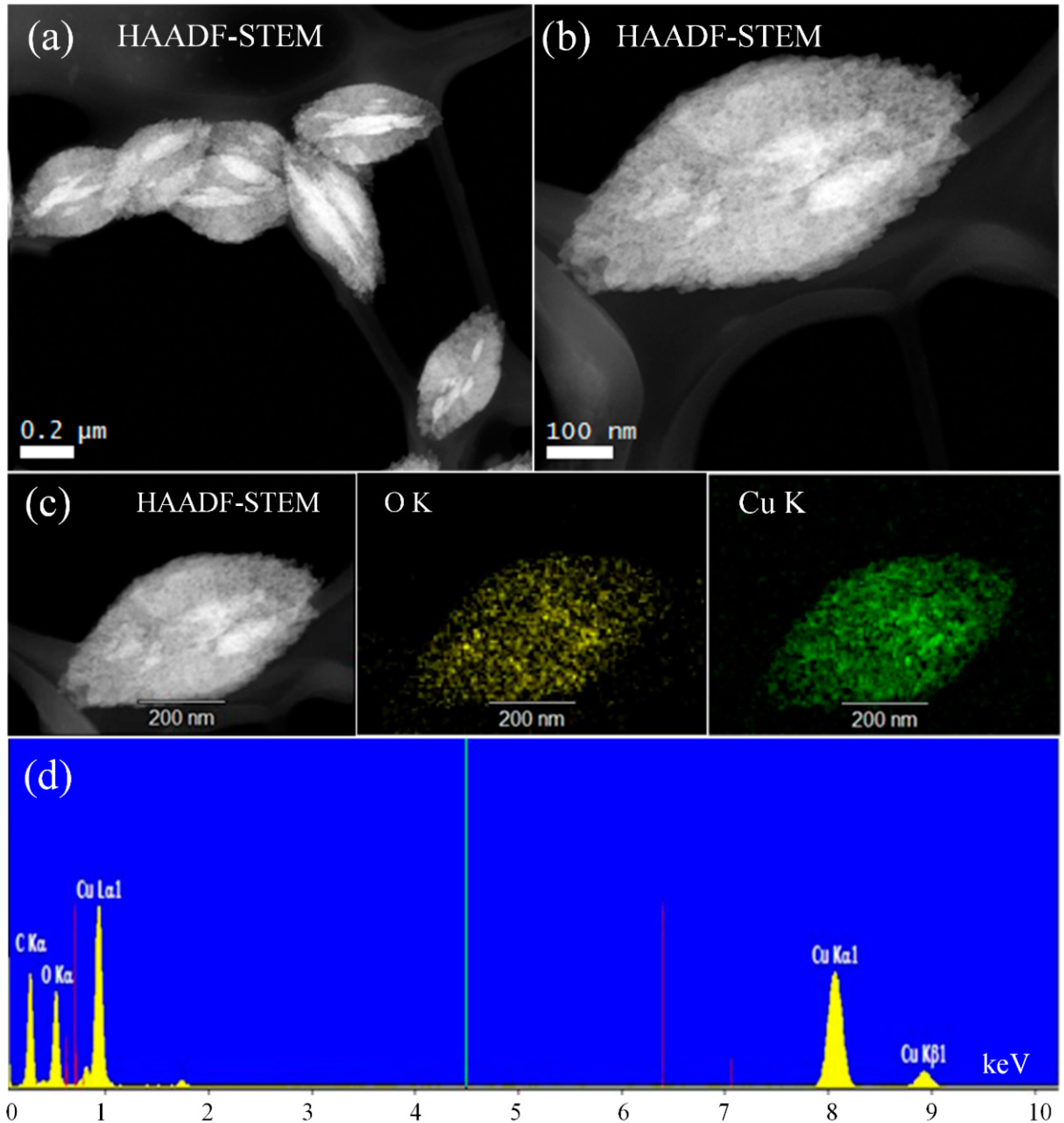 Nanomaterials 10 01298 g006