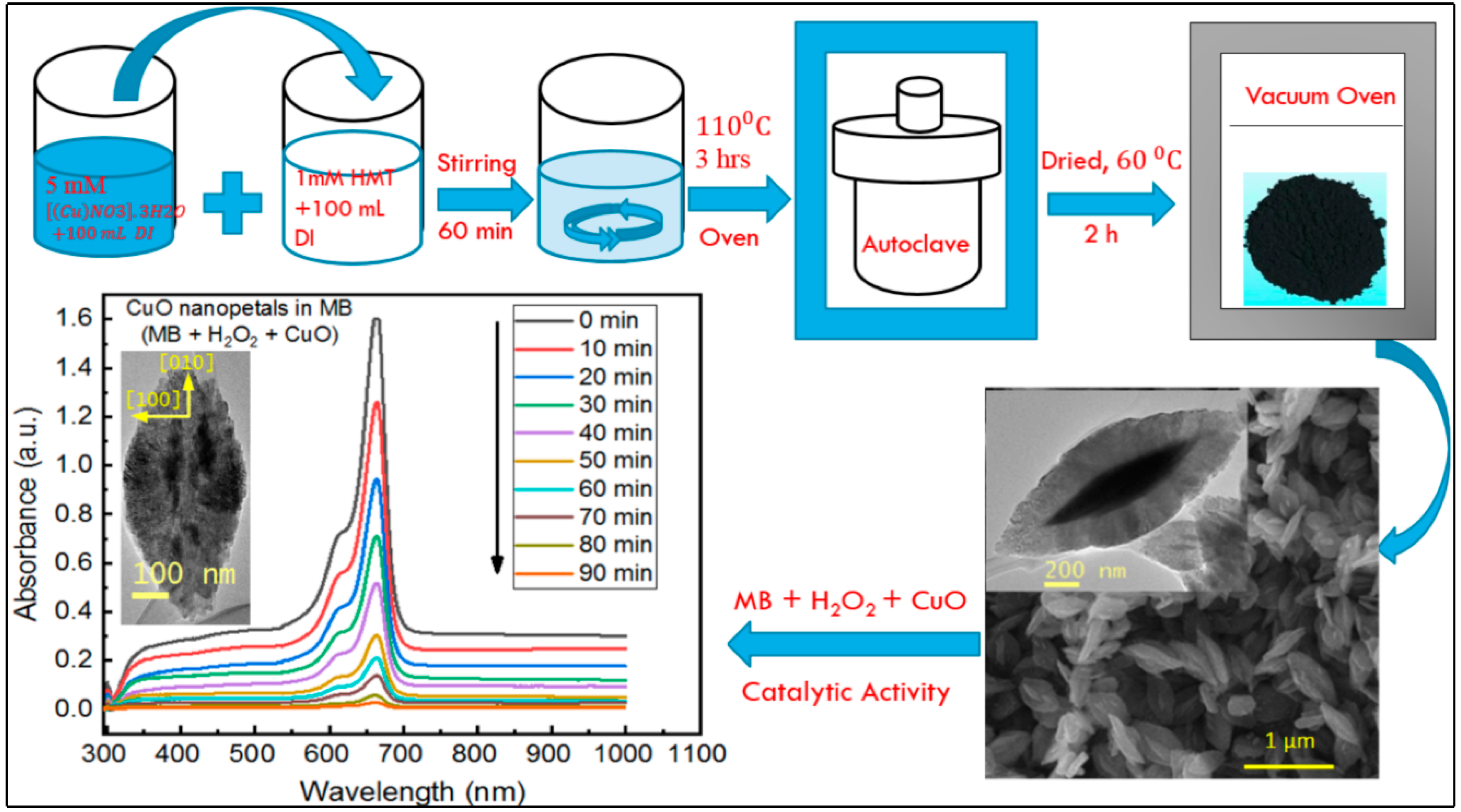 Nanomaterials 10 01298 sch001