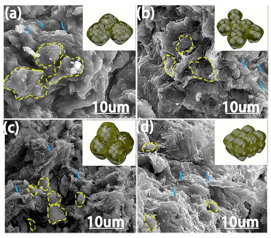 Nanomaterials 10 01300 g022 550