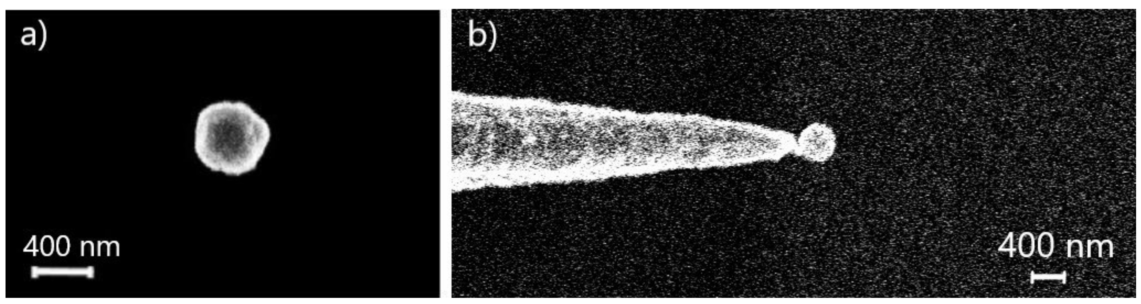 Nanomaterials 10 01306 g003 Nanomaterials 10 01306 g003
