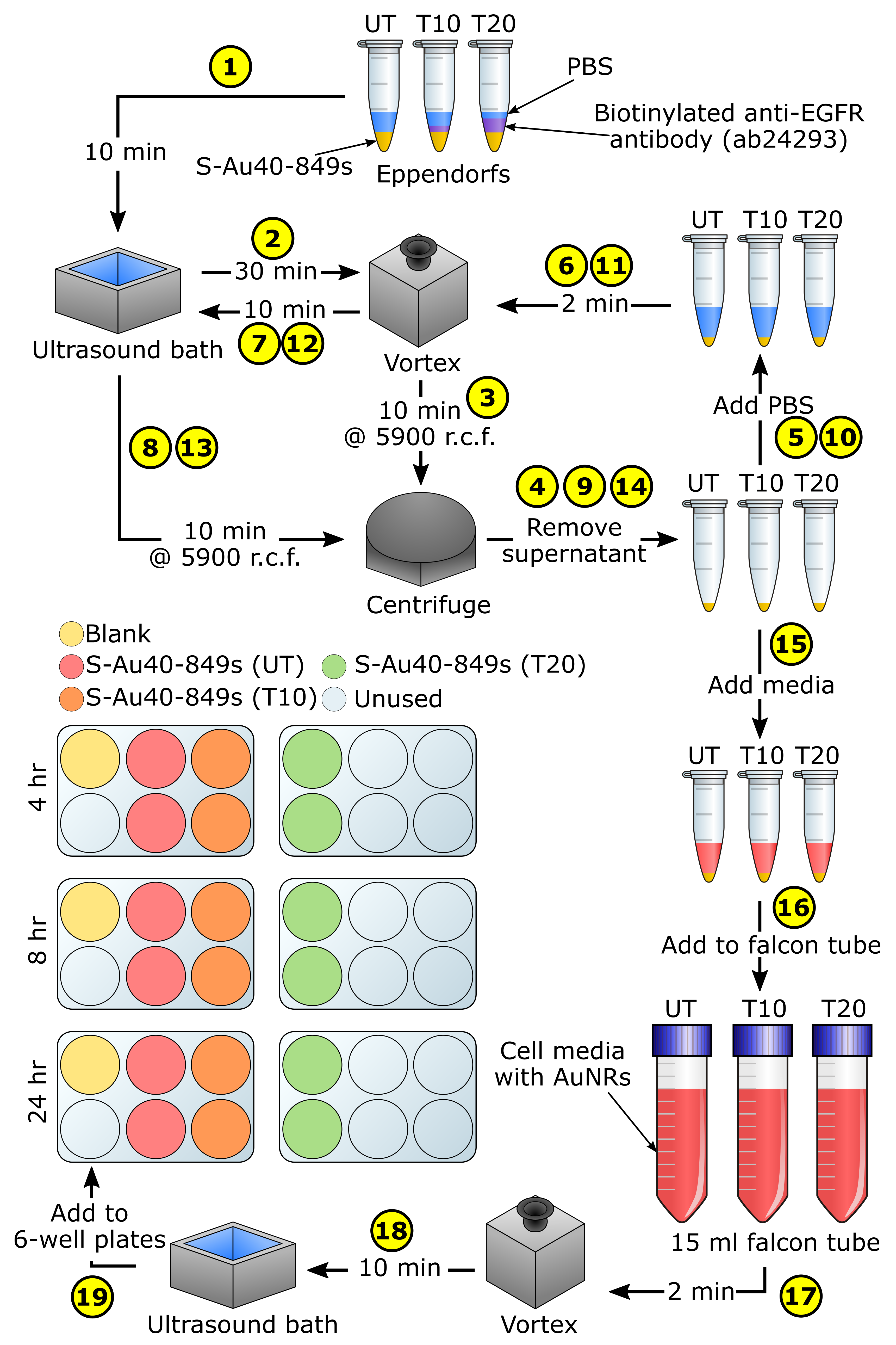 Nanomaterials 10 01307 g003