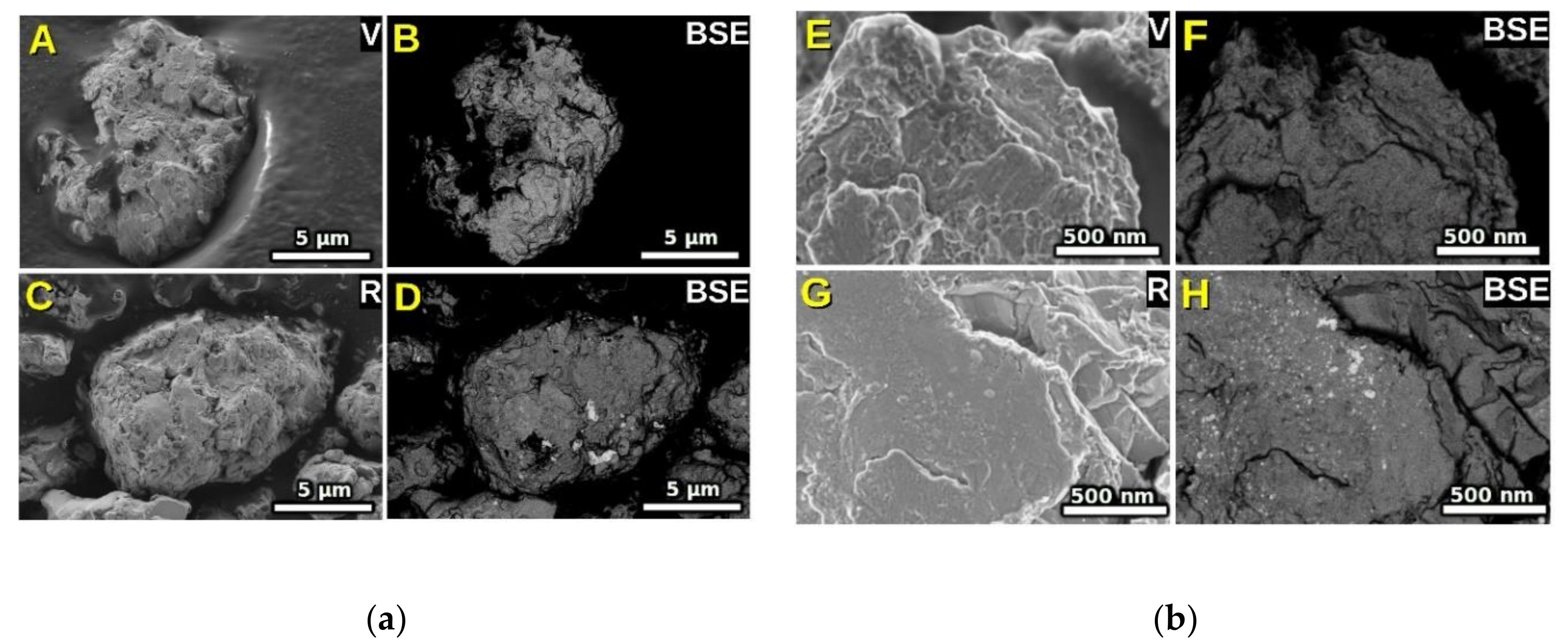 Nanomaterials 10 01308 g001 Nanomaterials 10 01308 g001