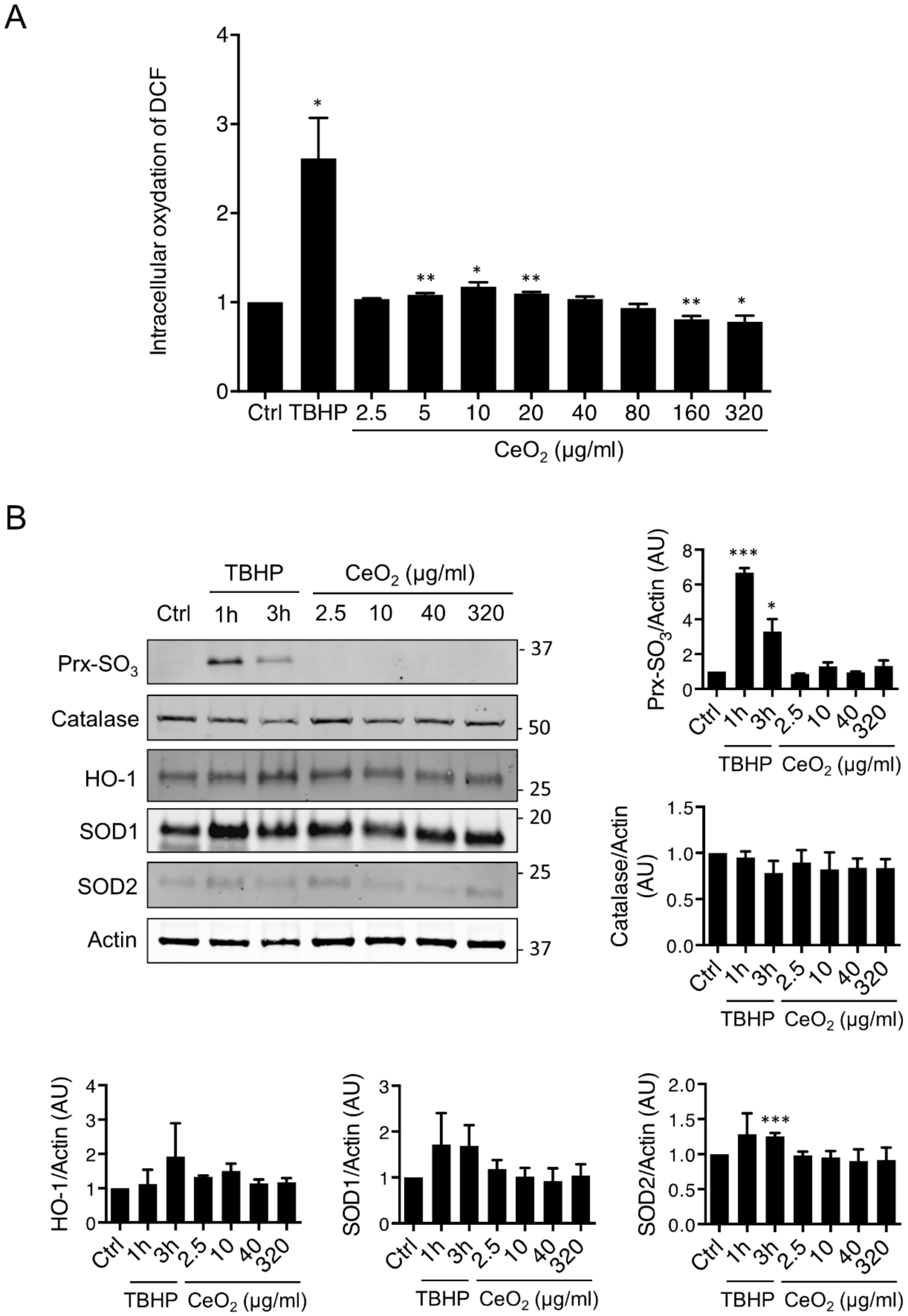 Nanomaterials 10 01309 g005