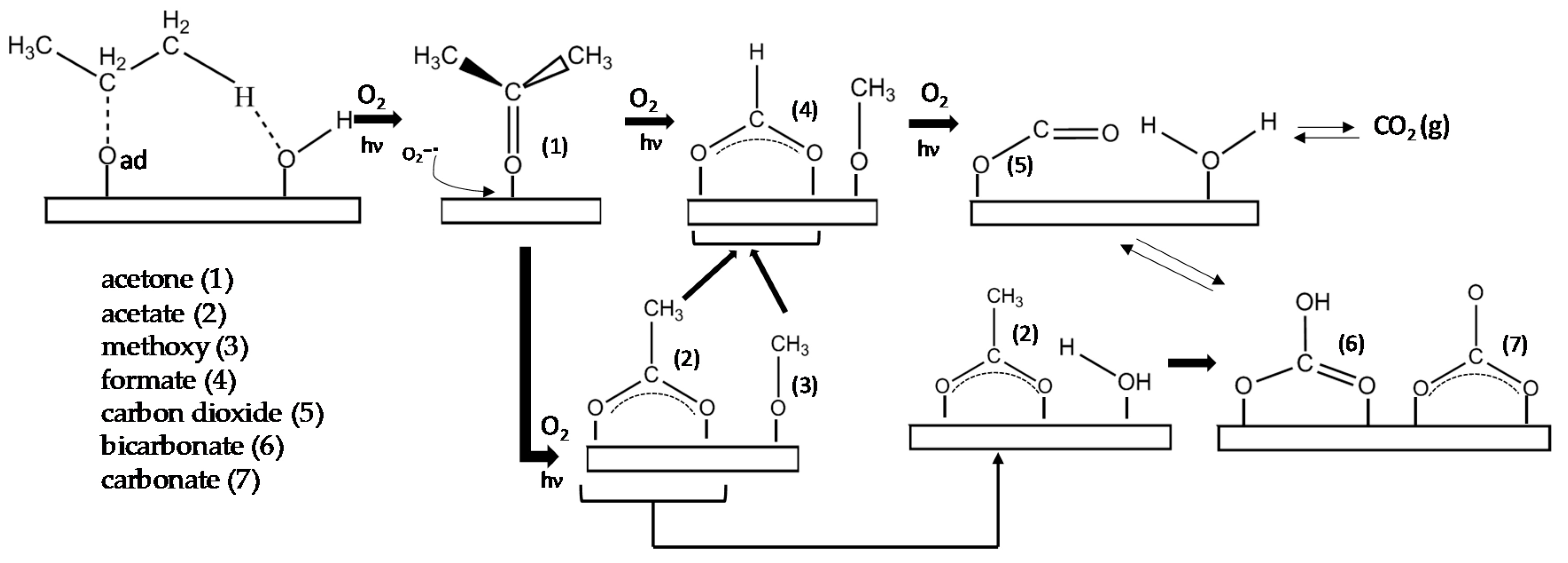 Nanomaterials 10 01314 sch001
